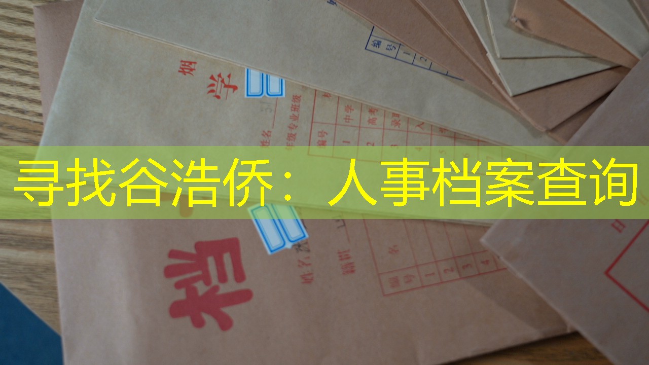 档案查询