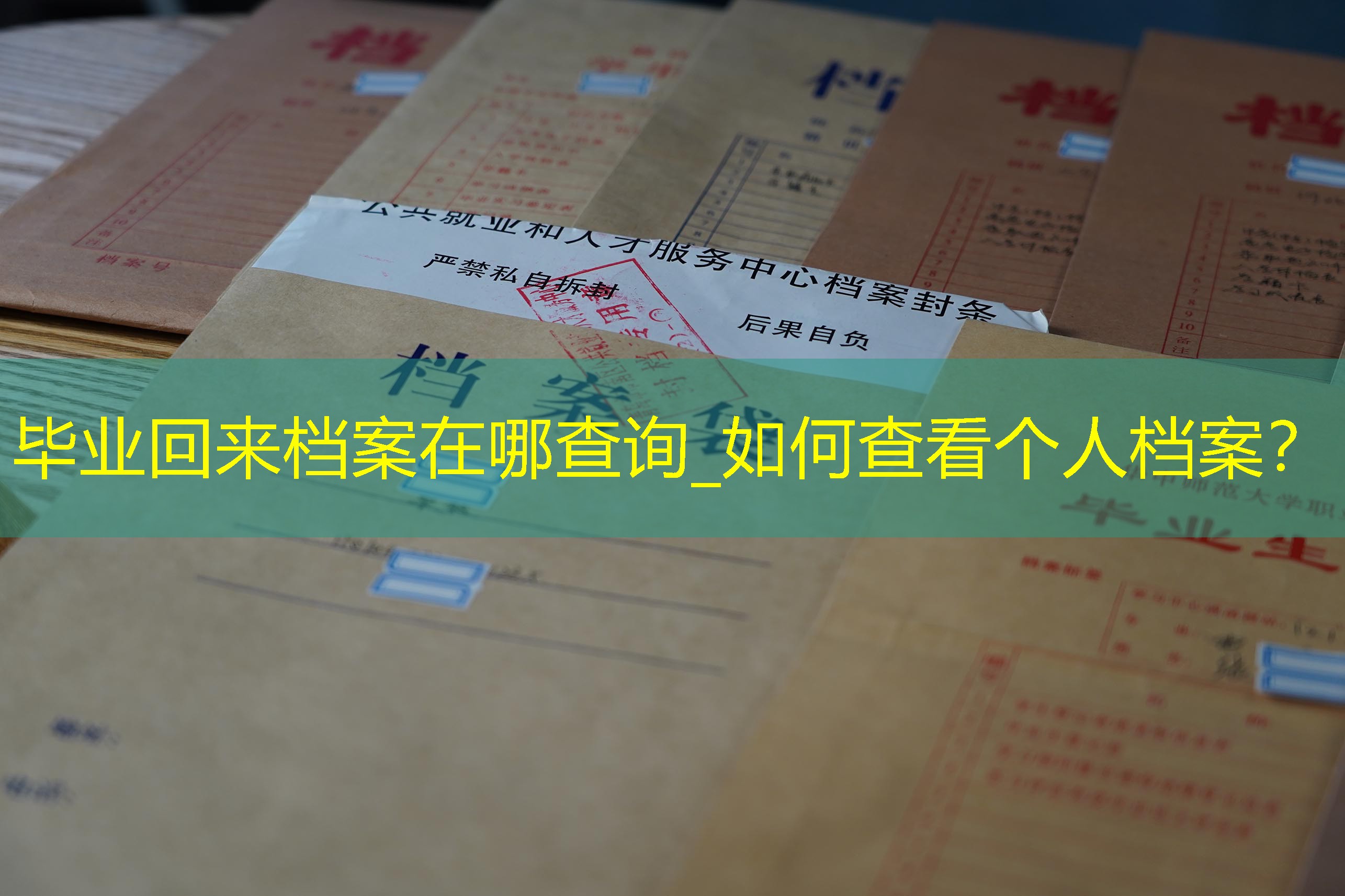 档案查询