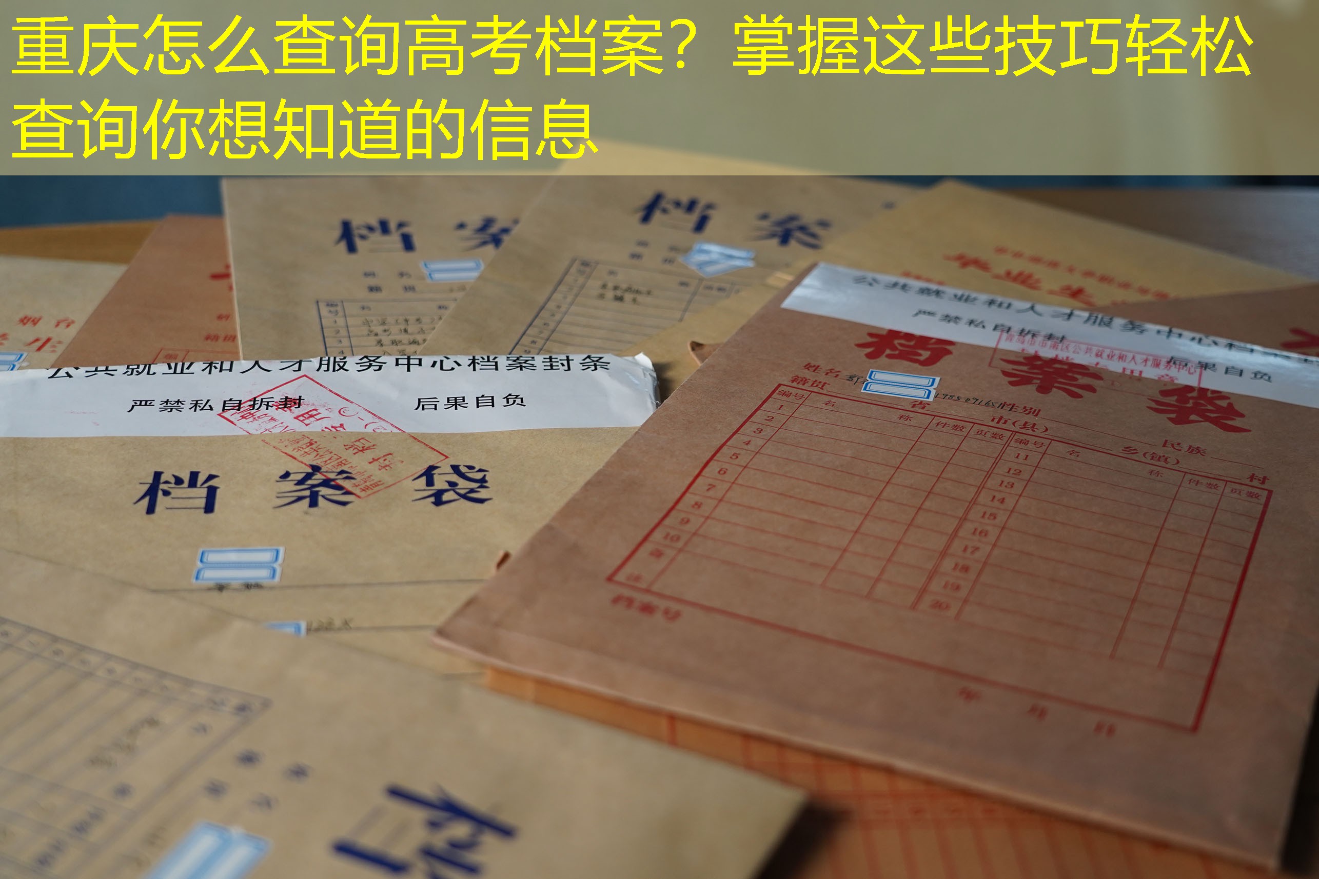 档案查询