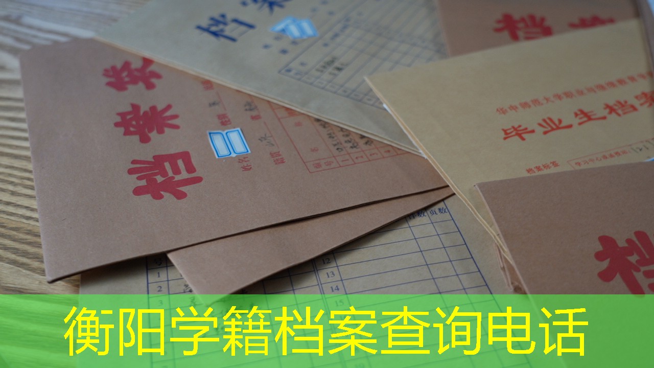 档案查询