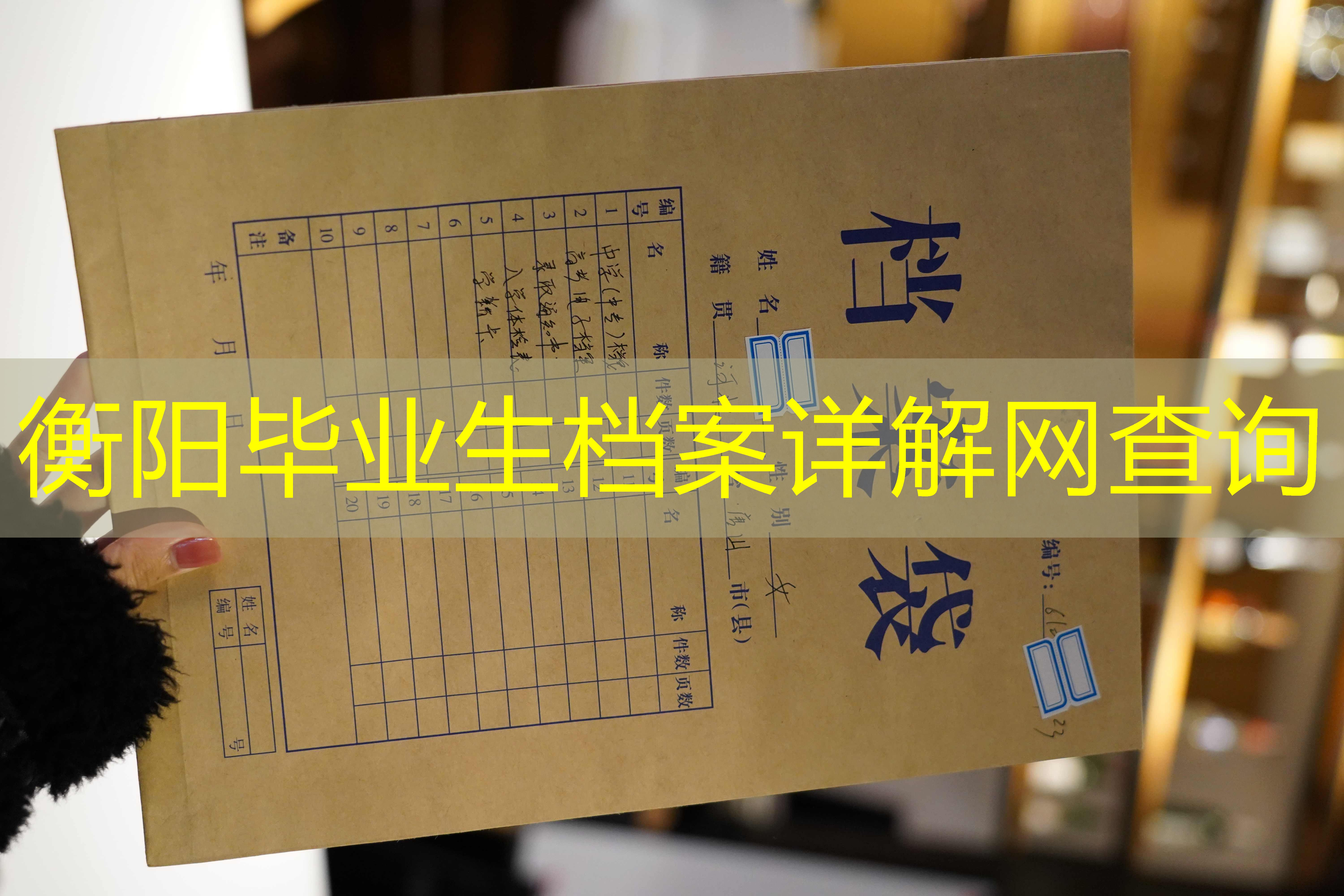 档案查询