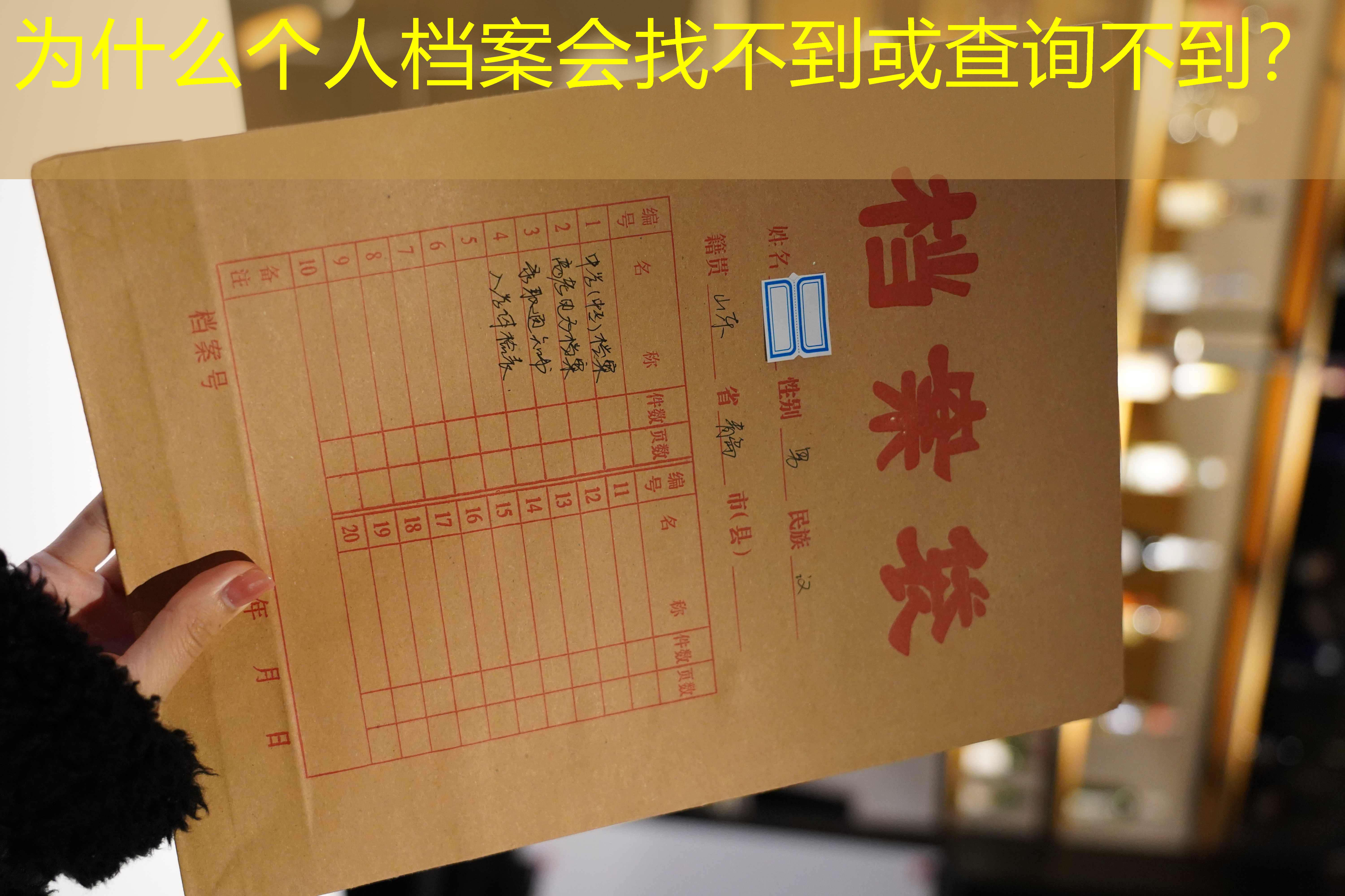 档案查询