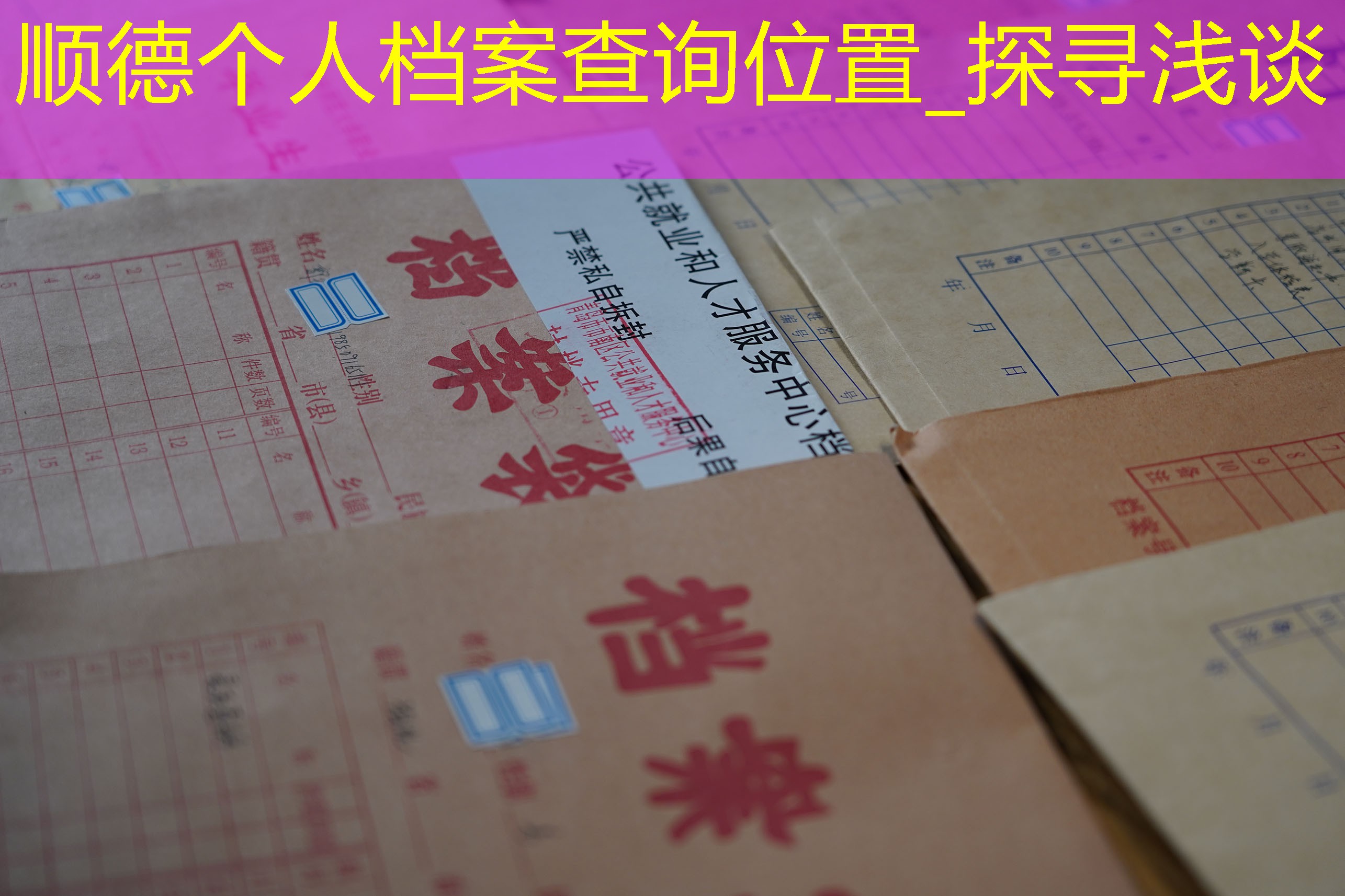 档案查询