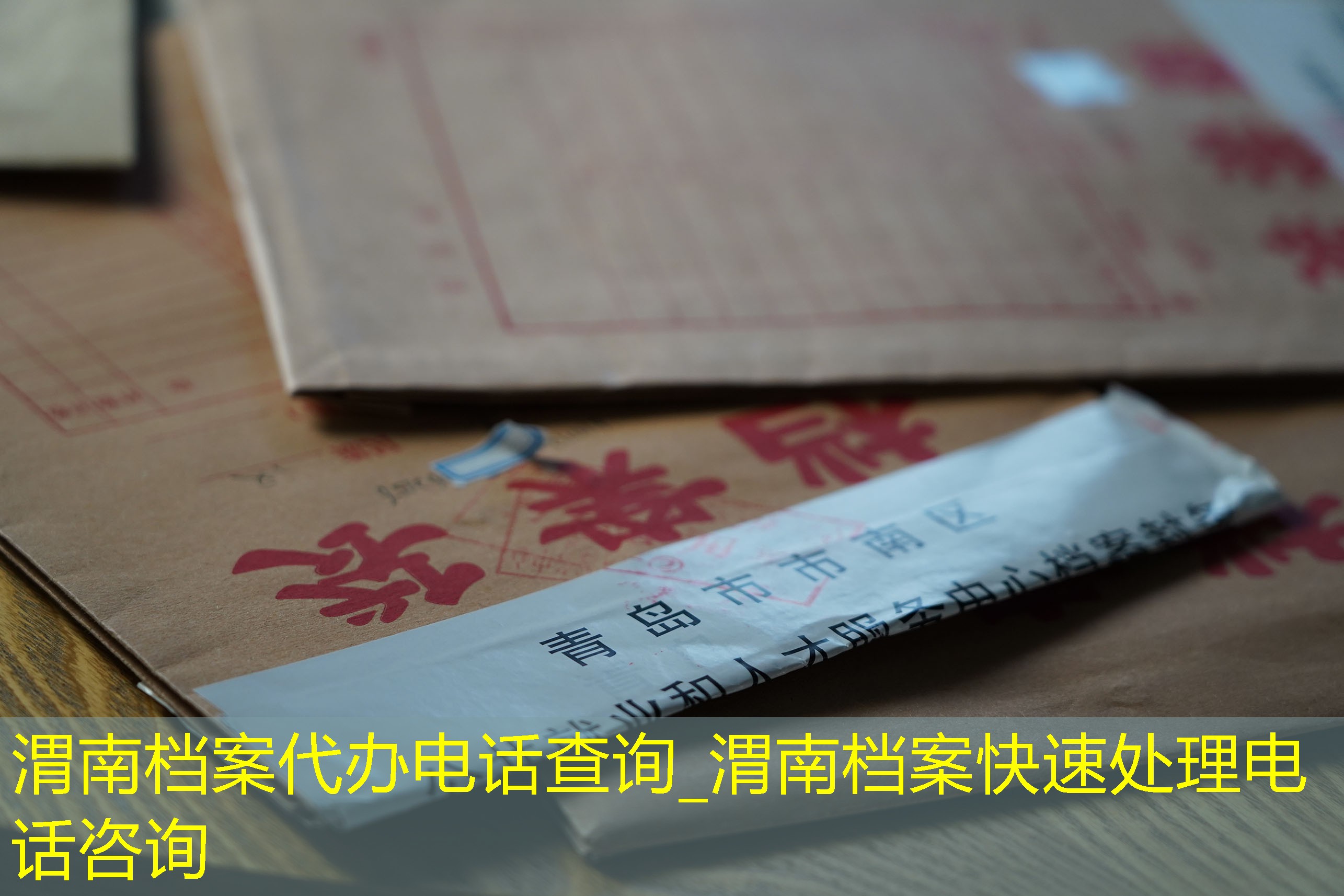 档案查询