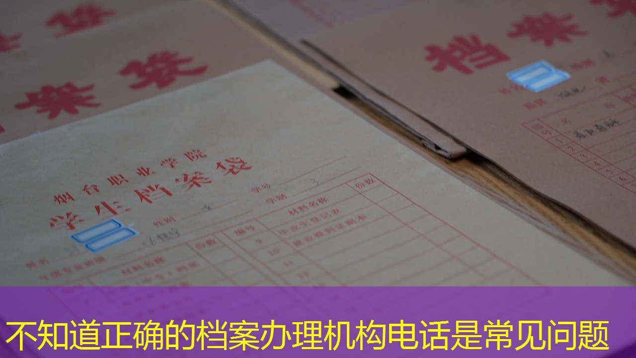 档案查询