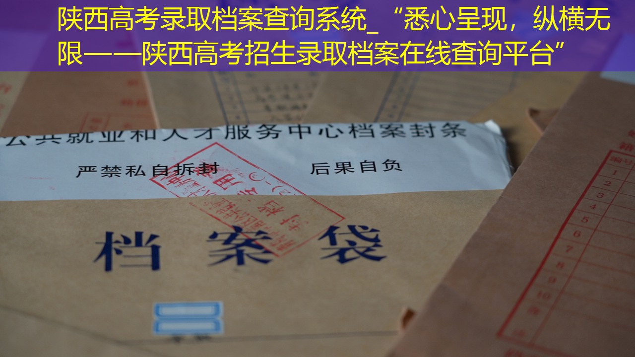 档案查询