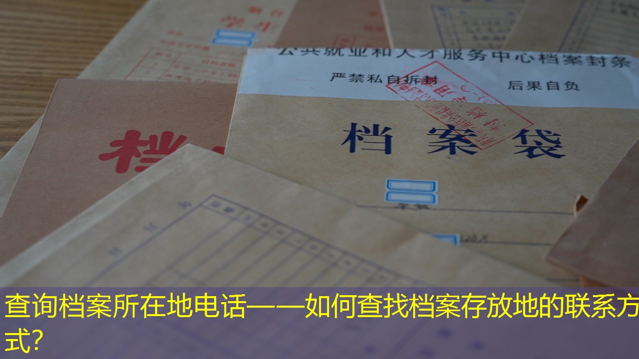 档案查询