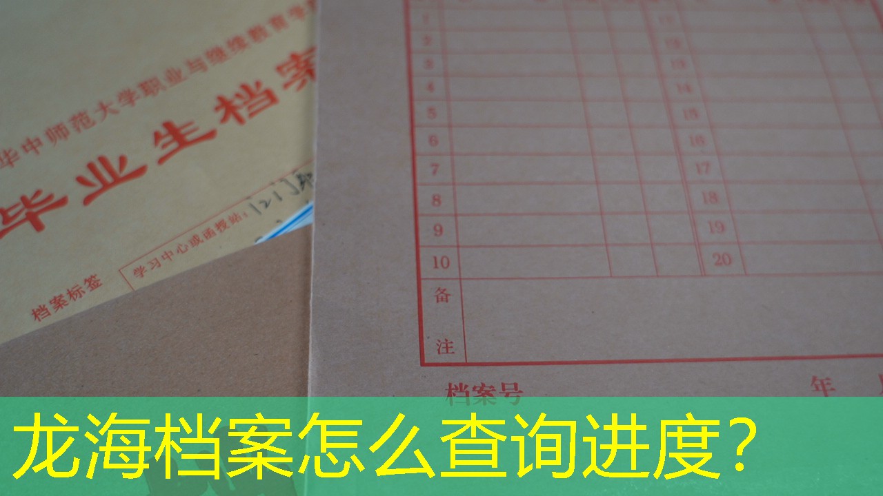档案查询