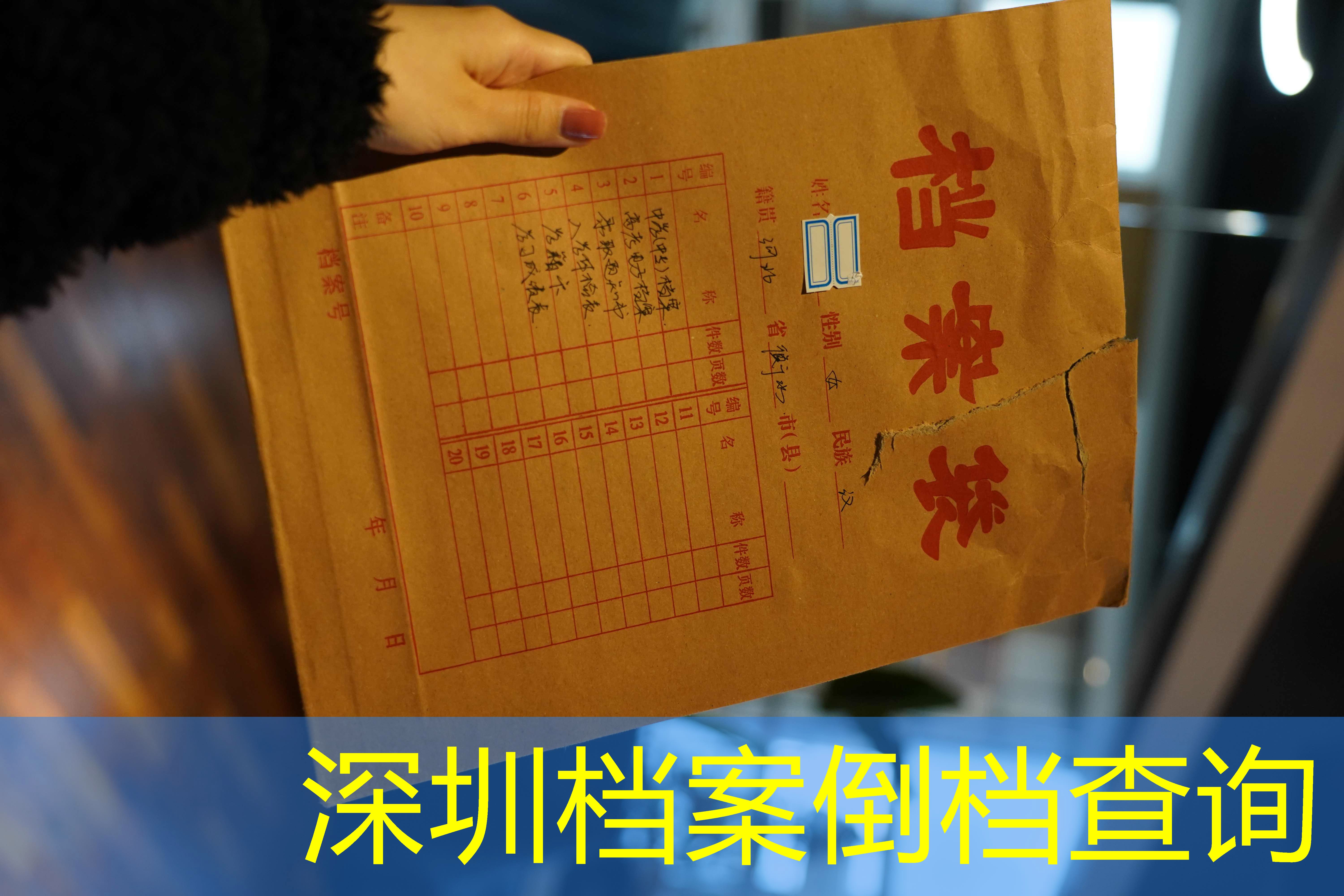 档案查询