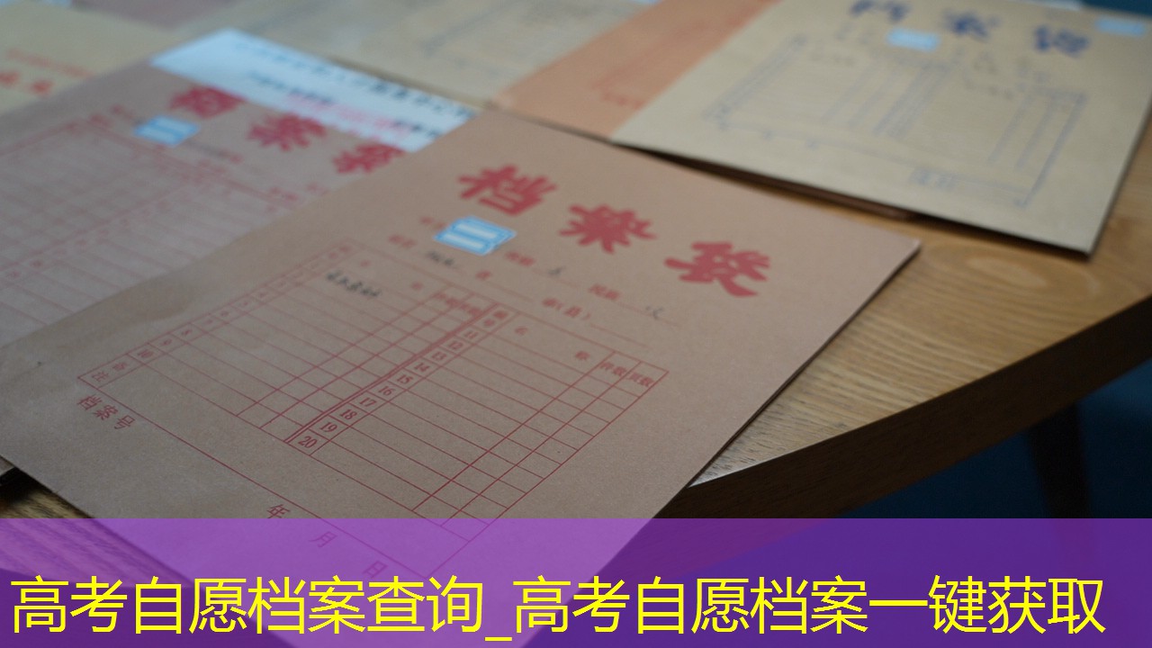 档案查询