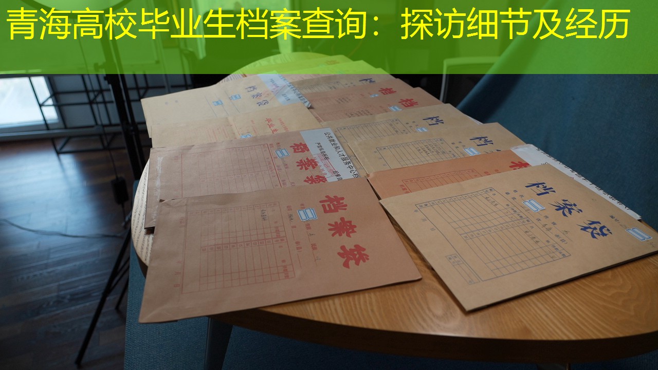档案查询