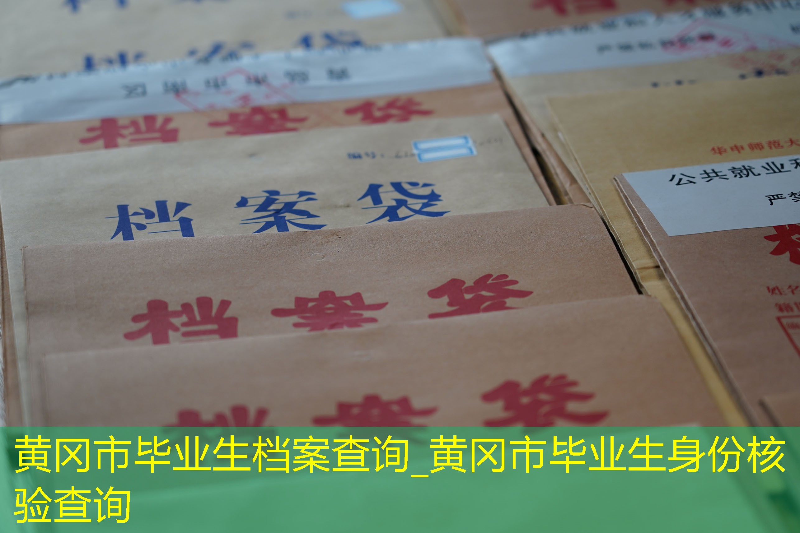 档案查询