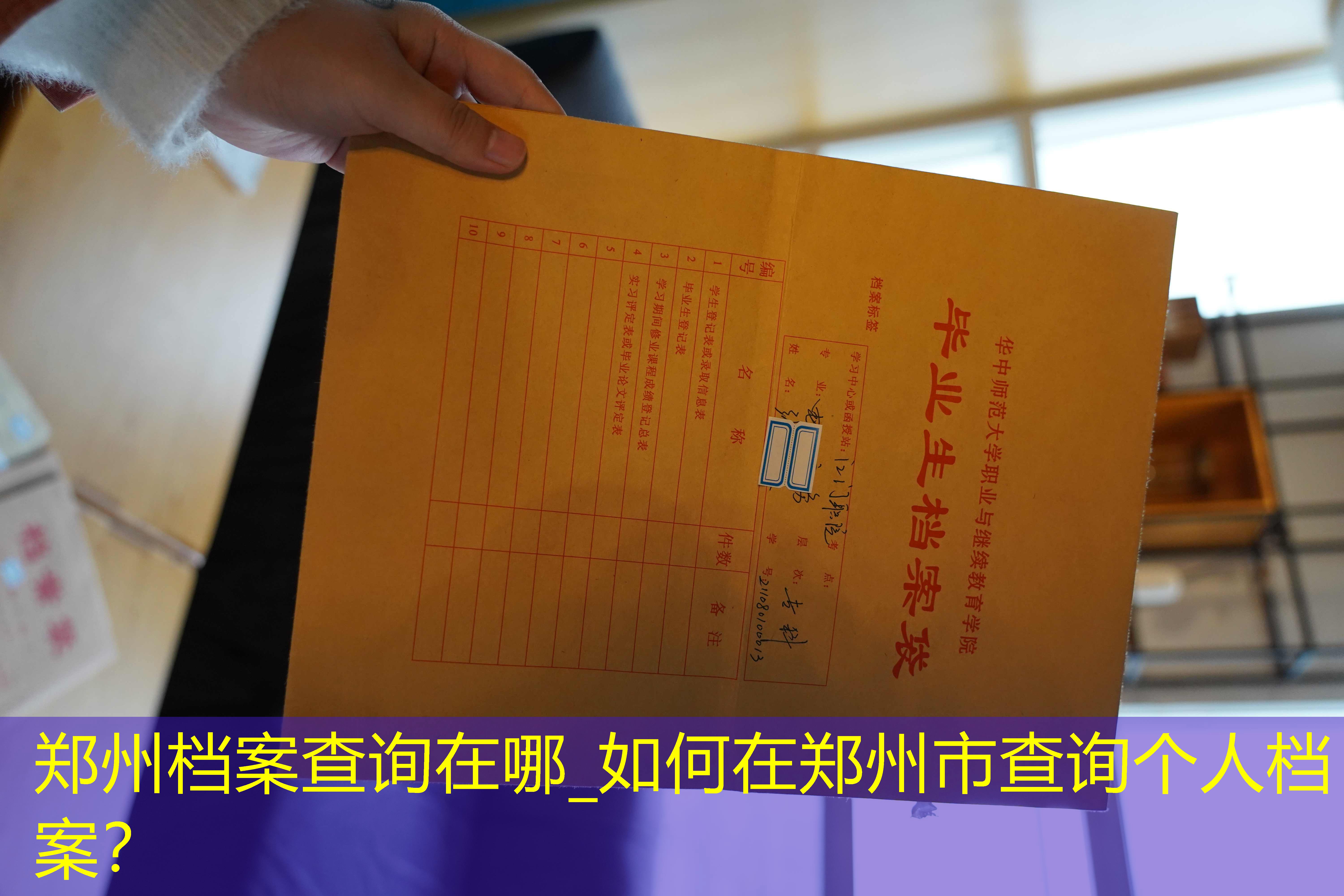 档案查询