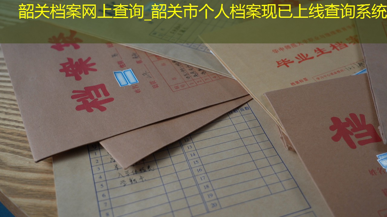档案查询