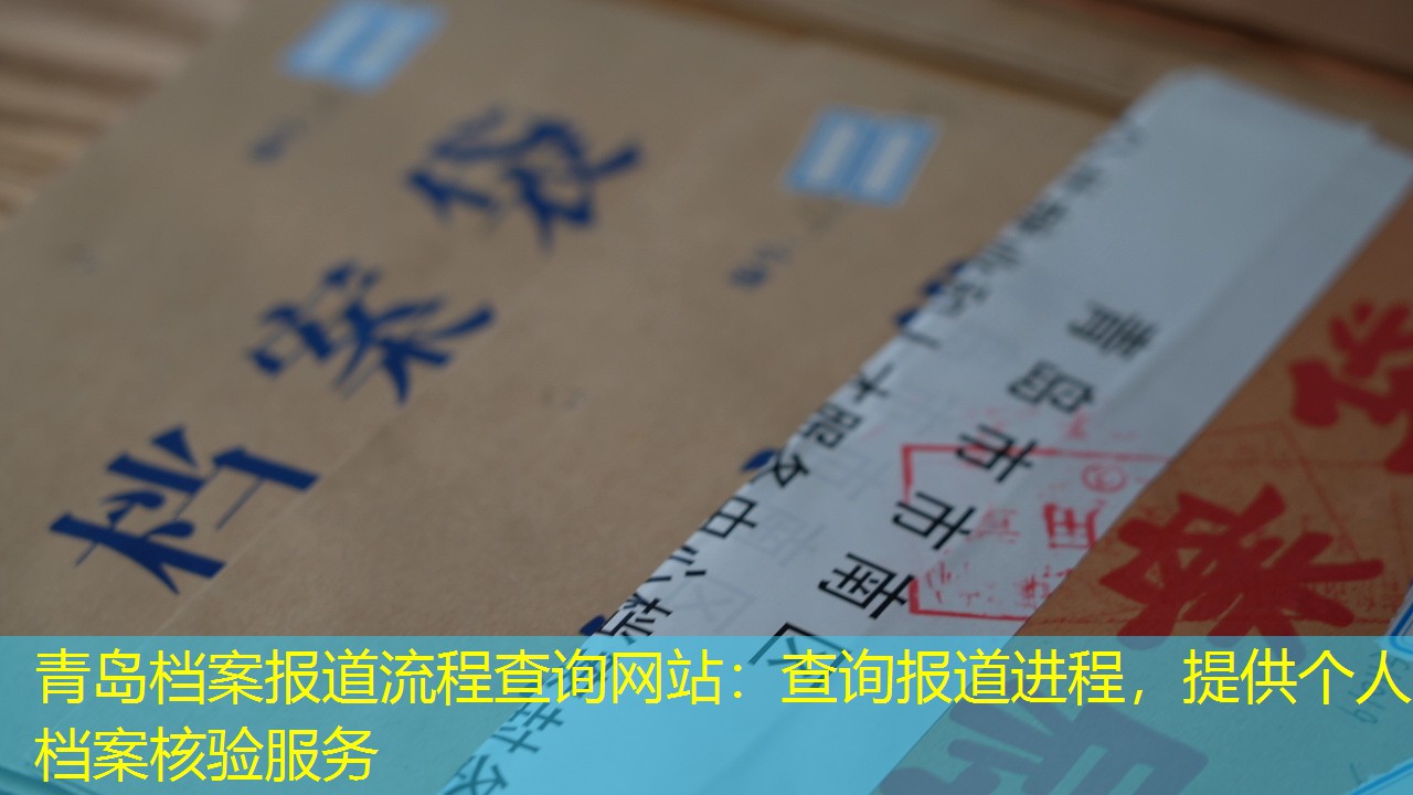 档案查询