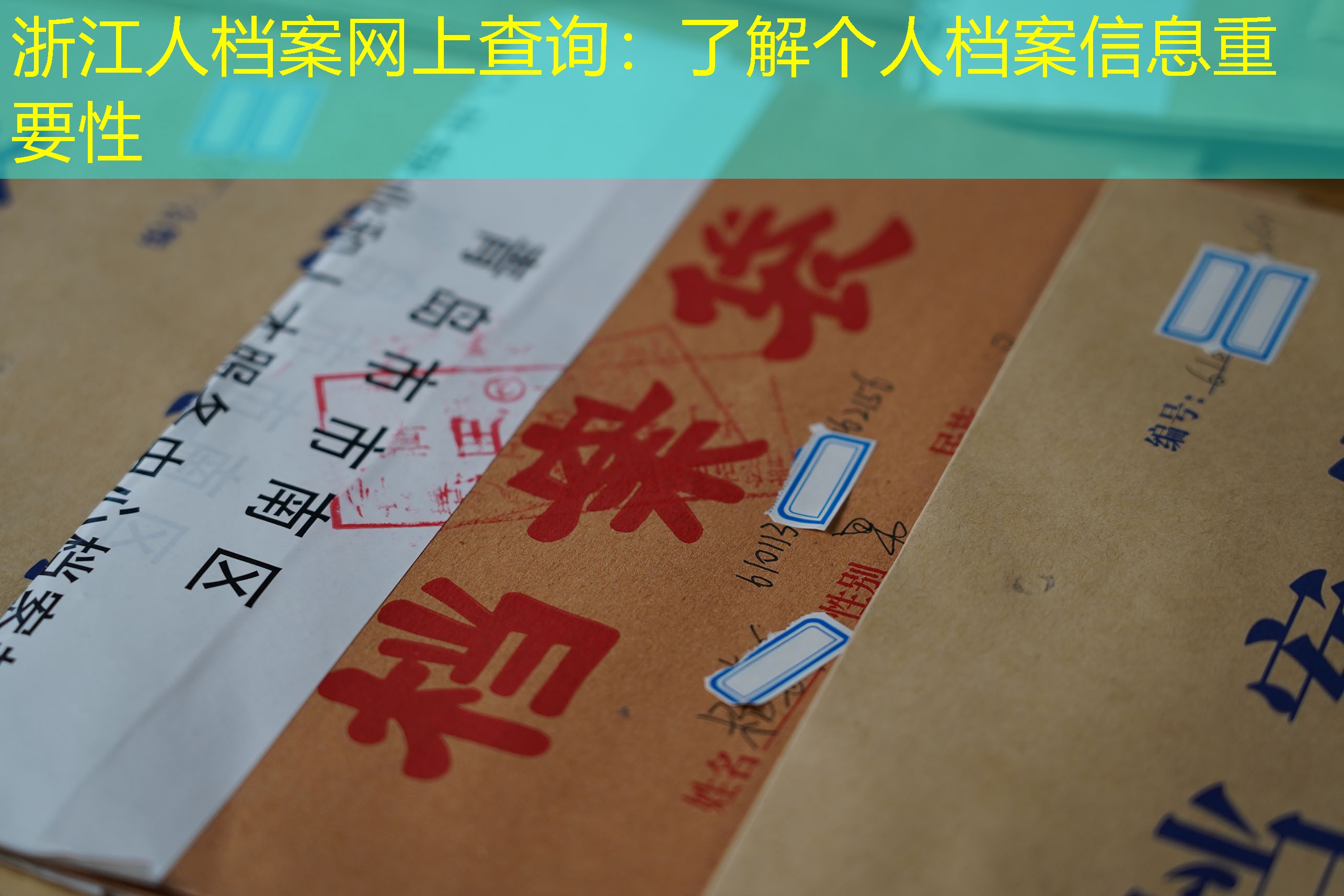 档案查询
