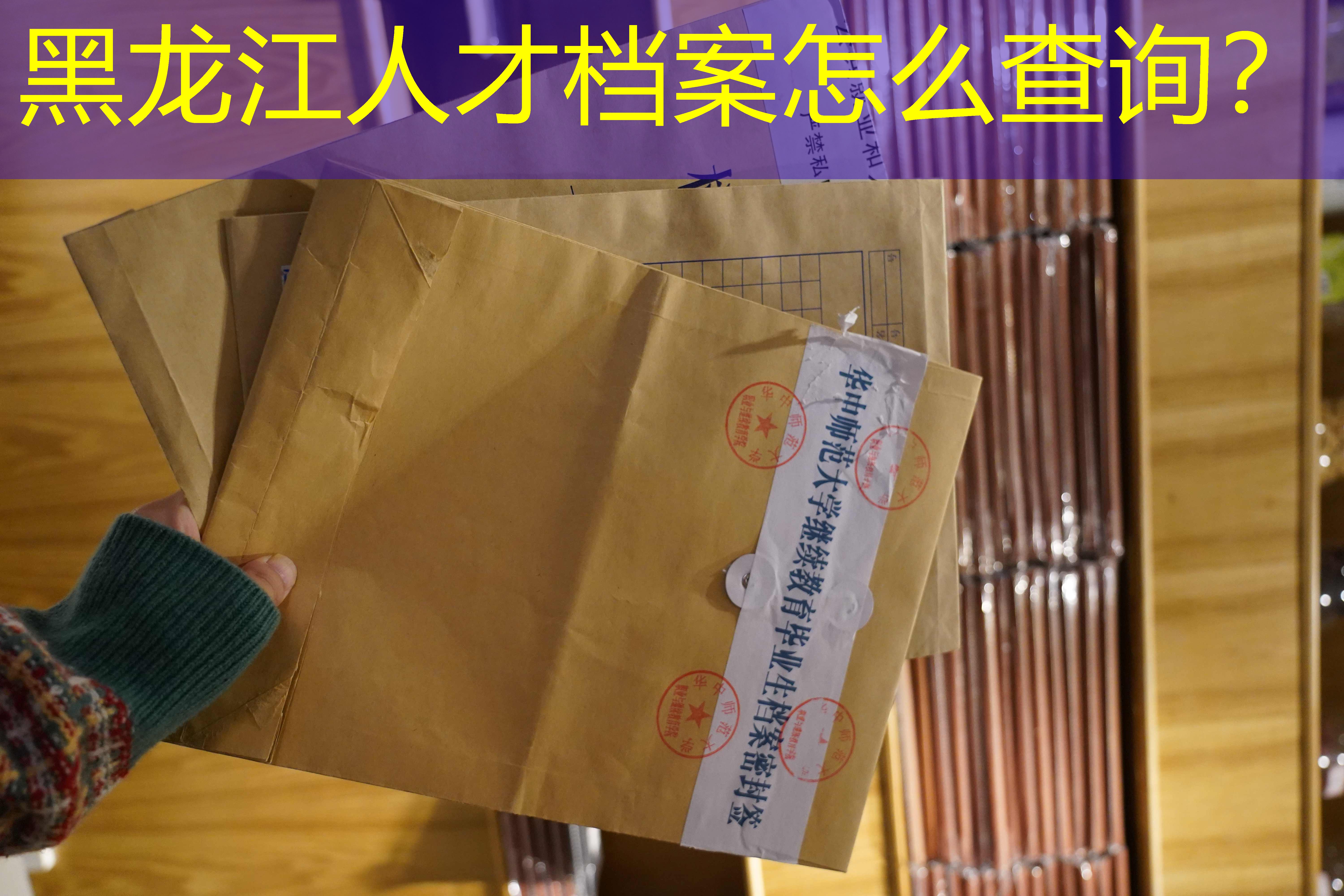 档案查询