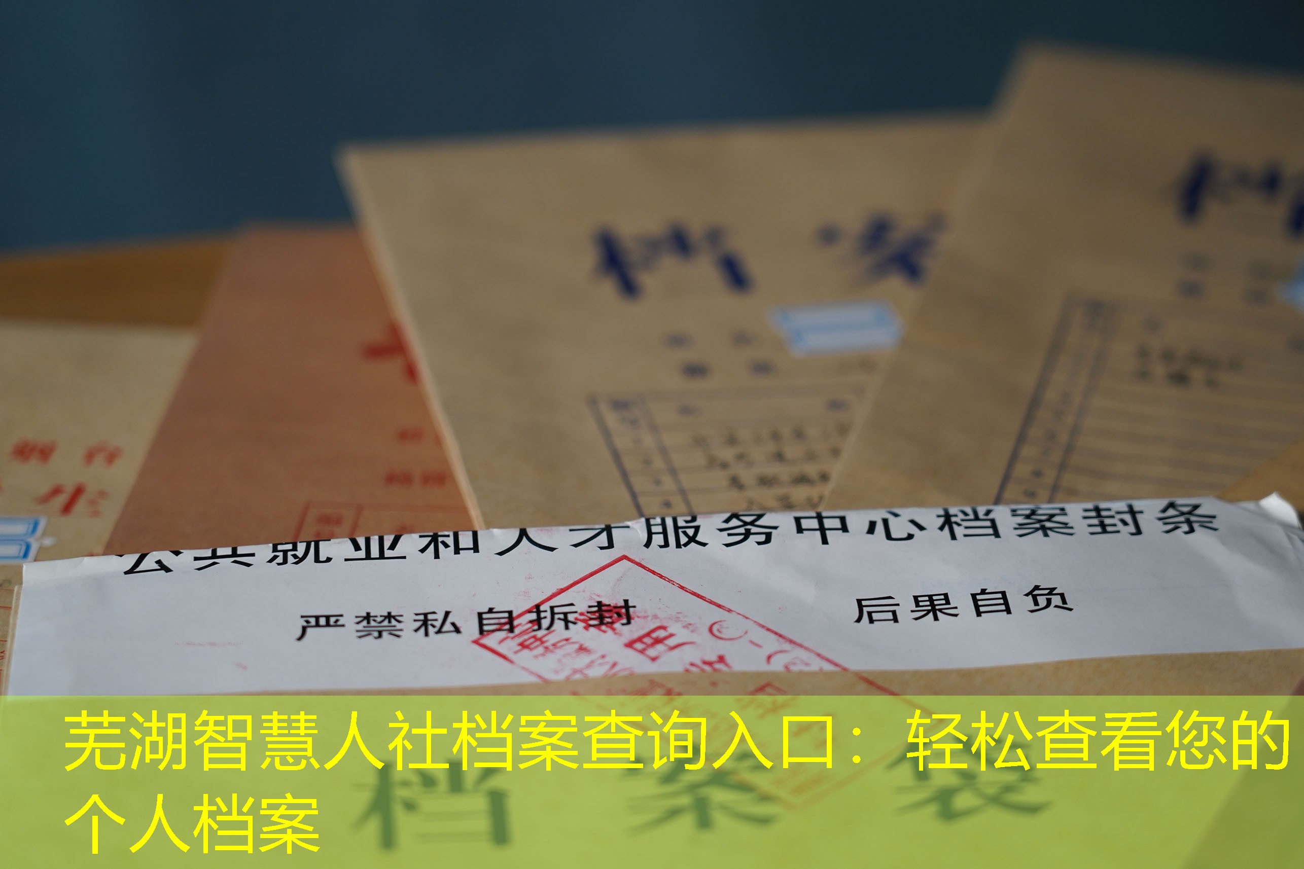 档案查询