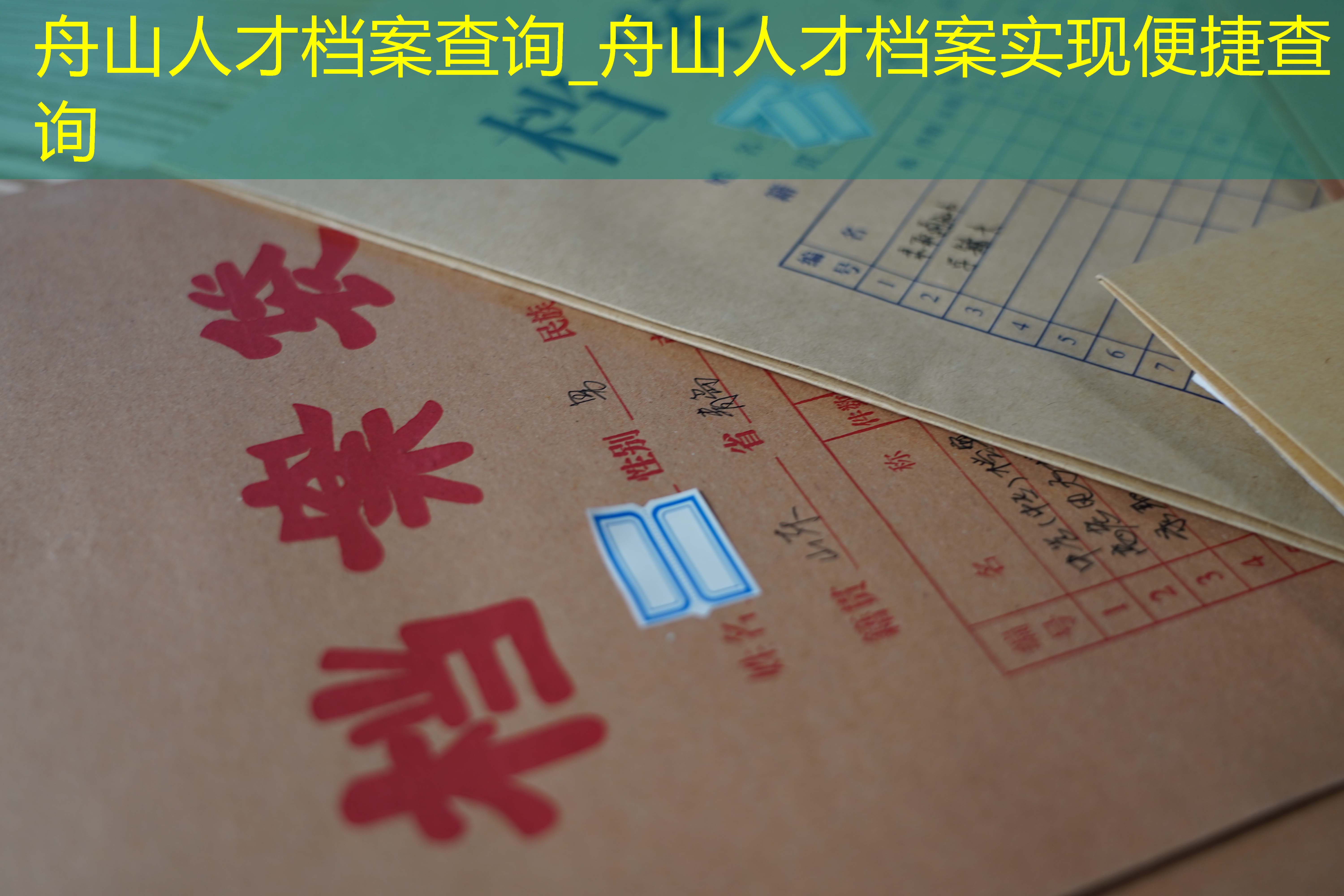 档案查询