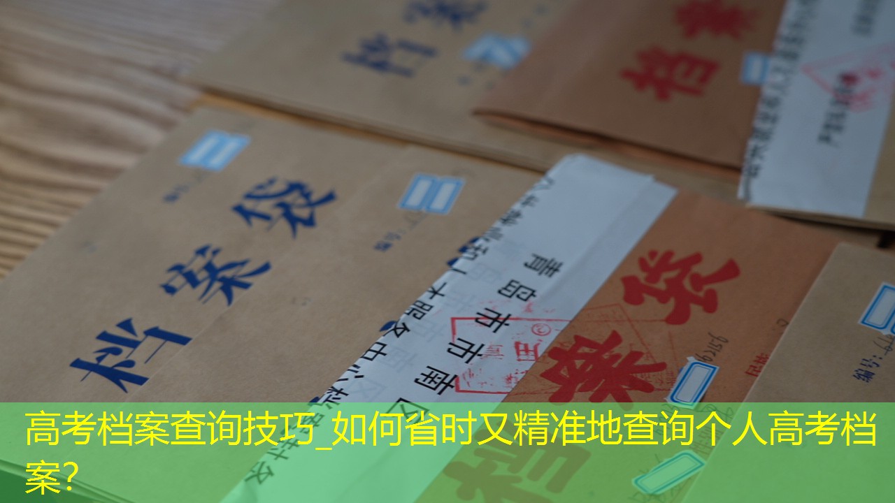 档案查询