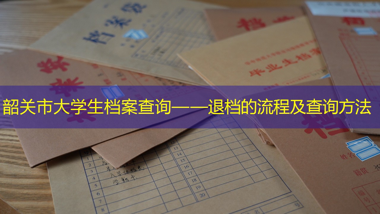 档案查询