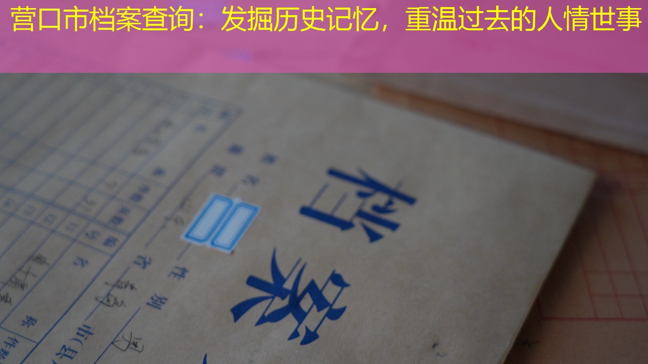 档案查询