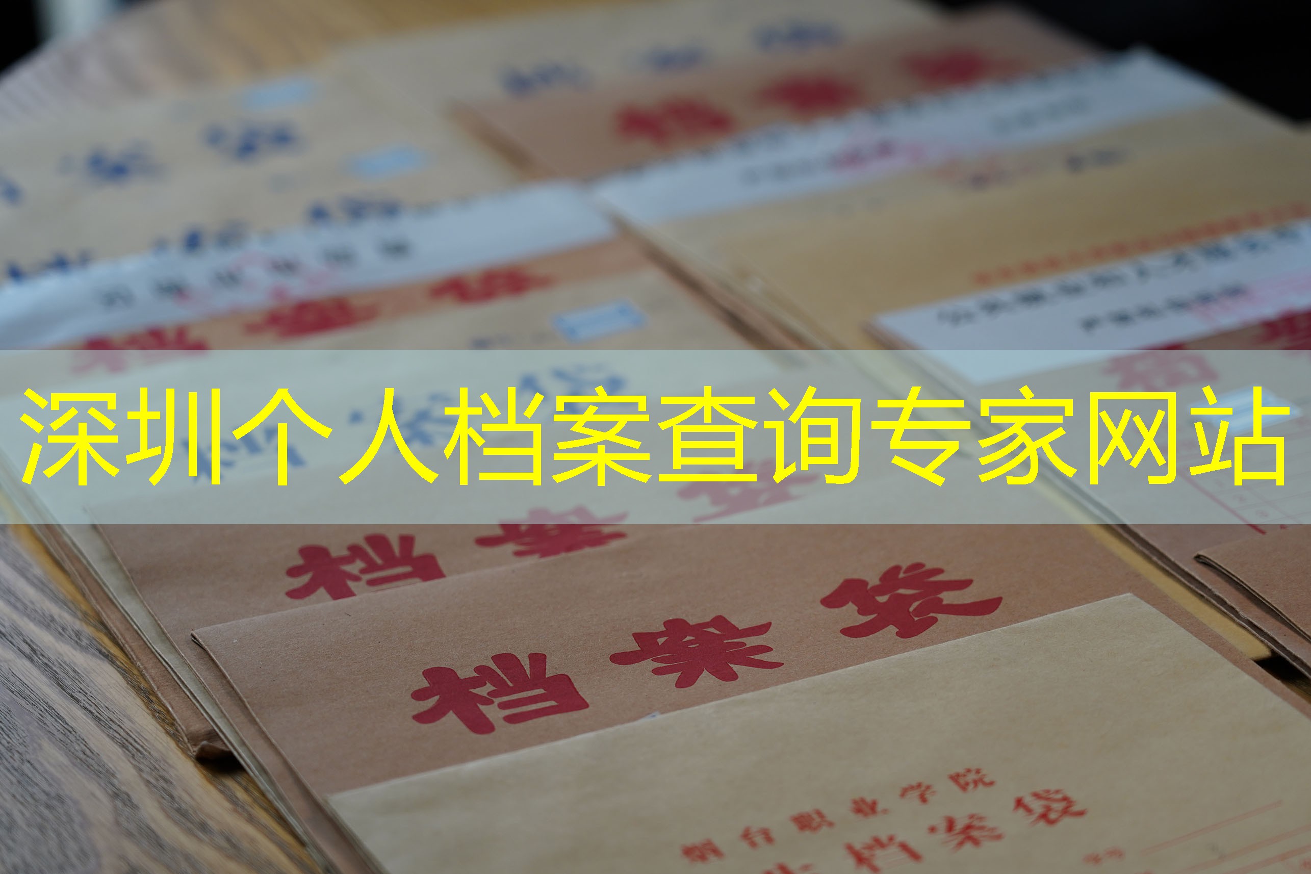 档案查询