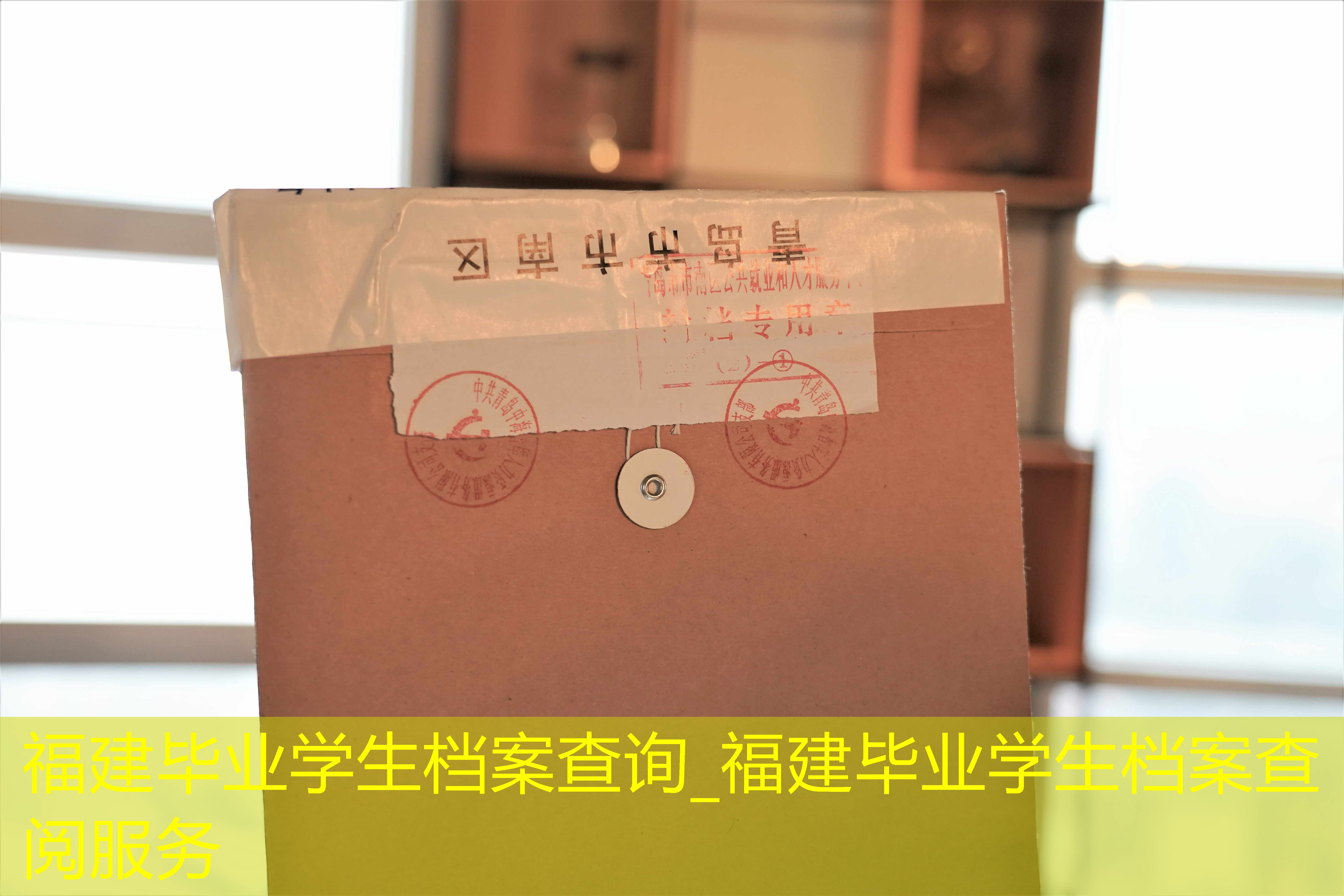 档案查询