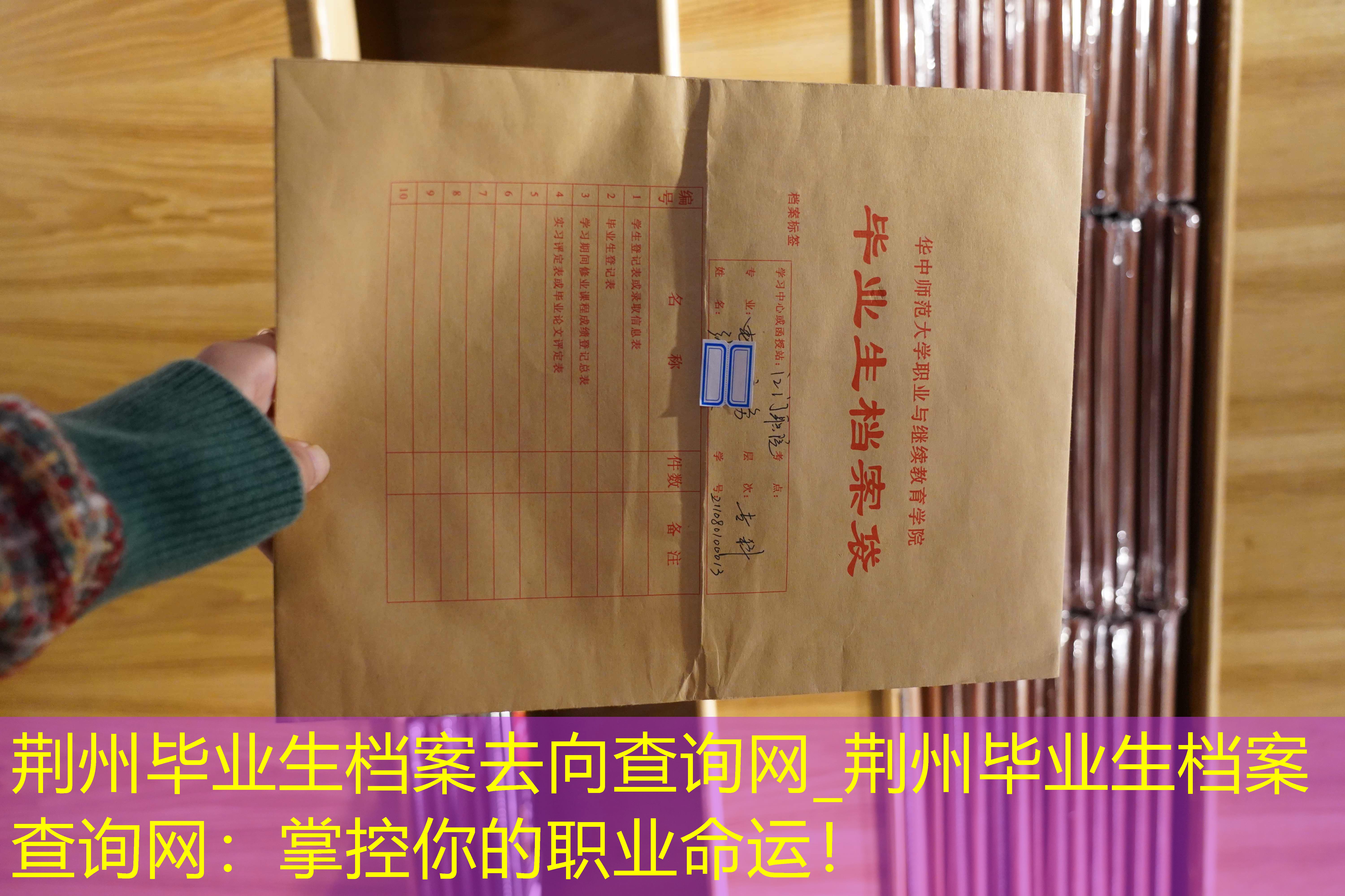 档案查询