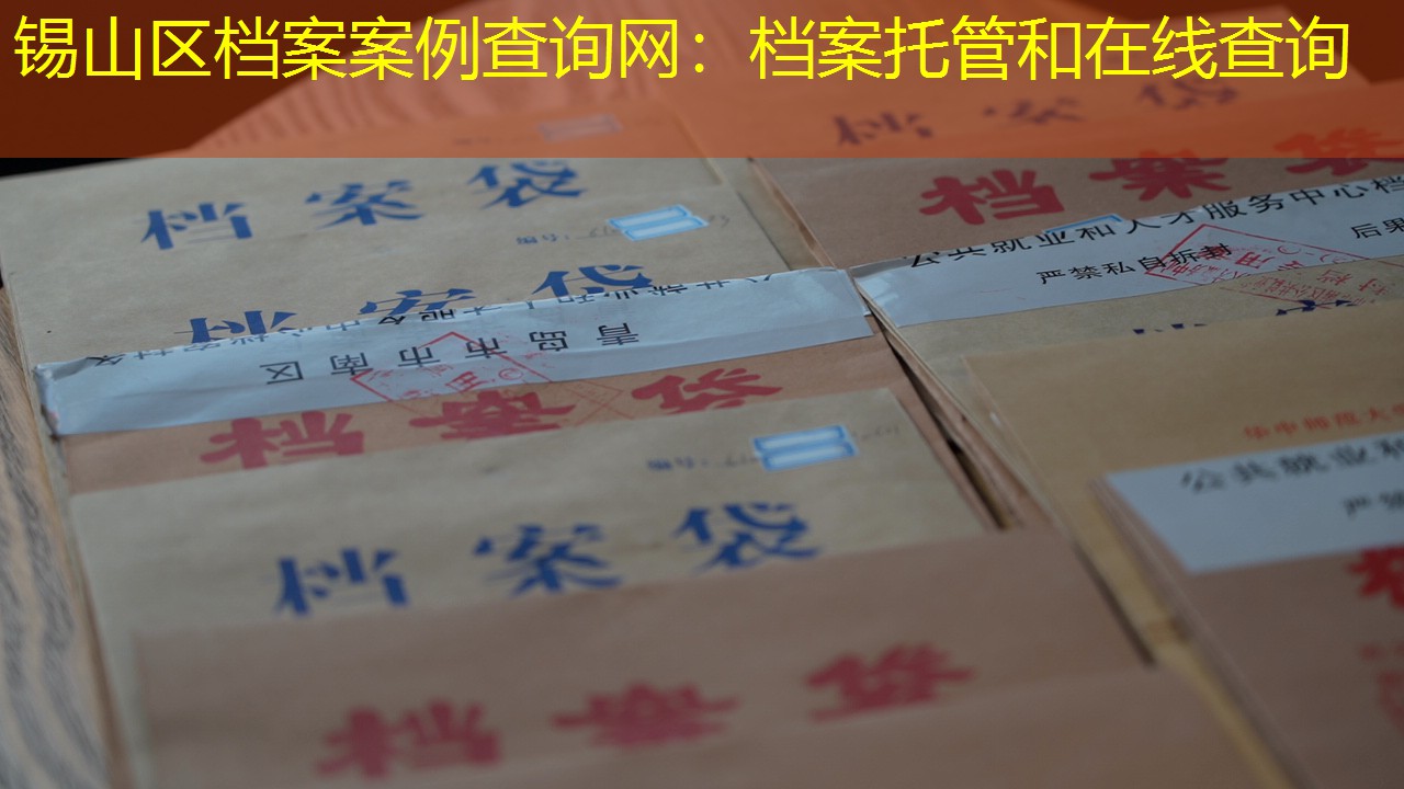 档案查询