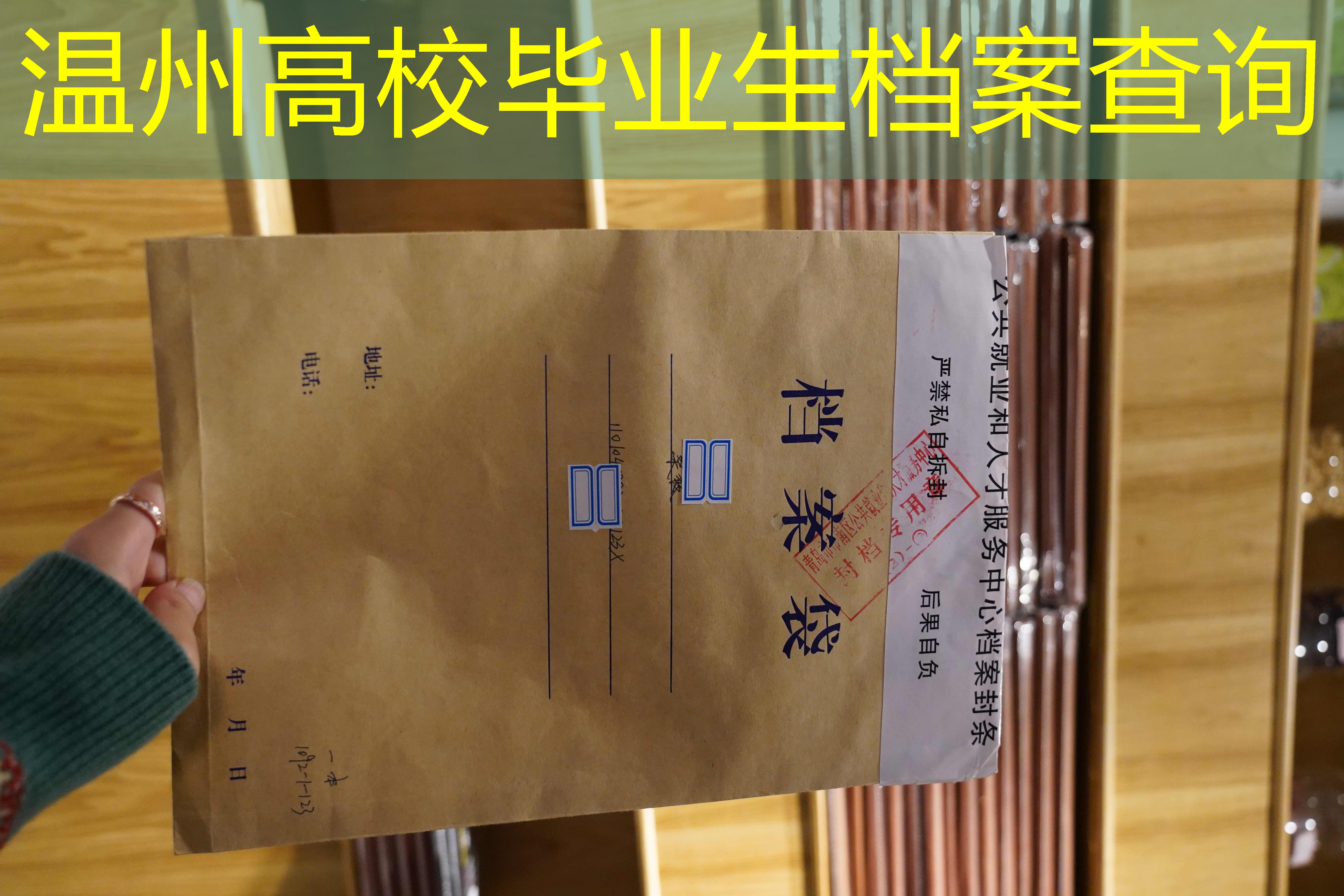 档案查询