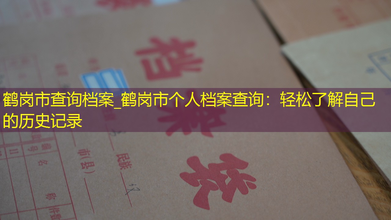档案查询