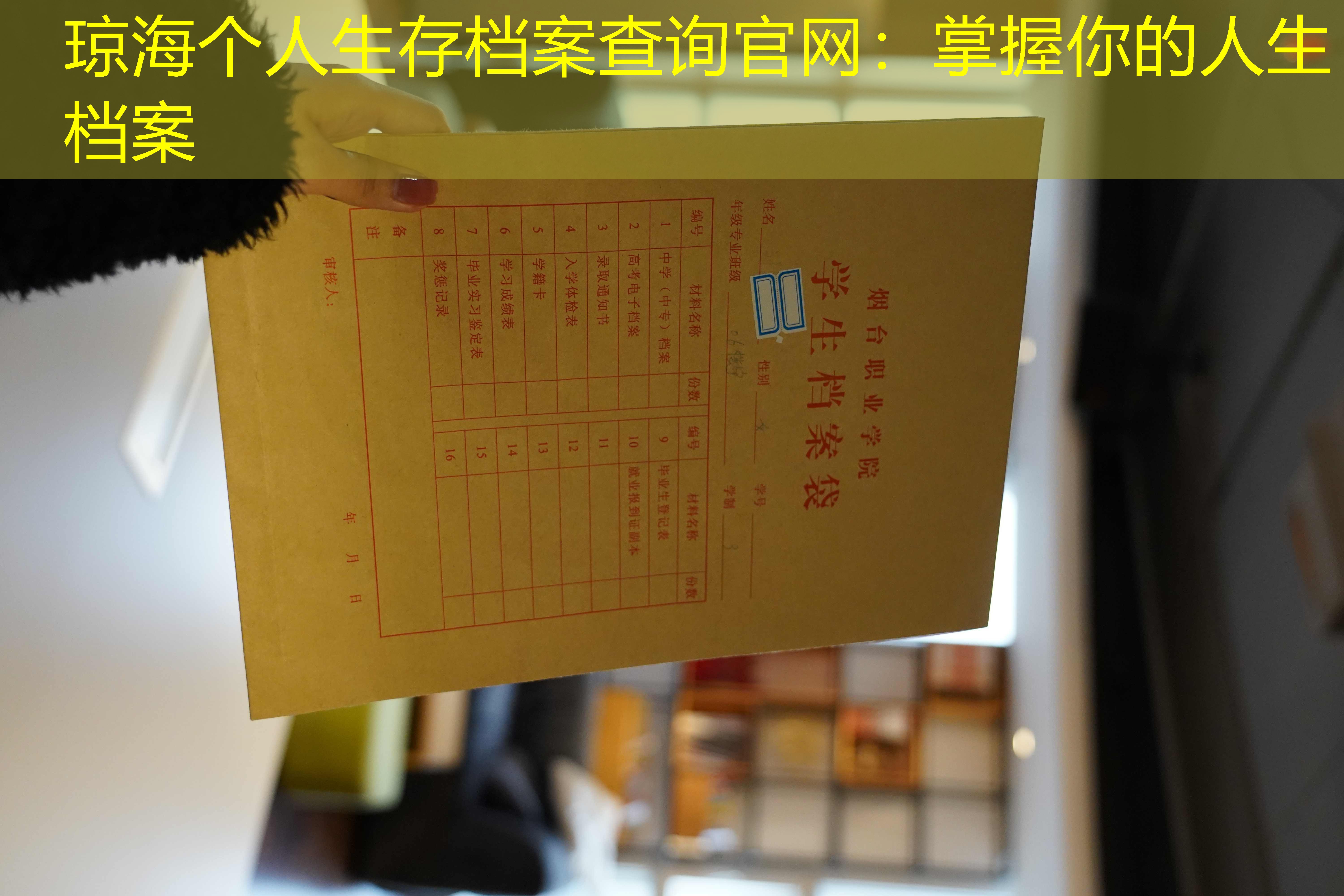 档案查询
