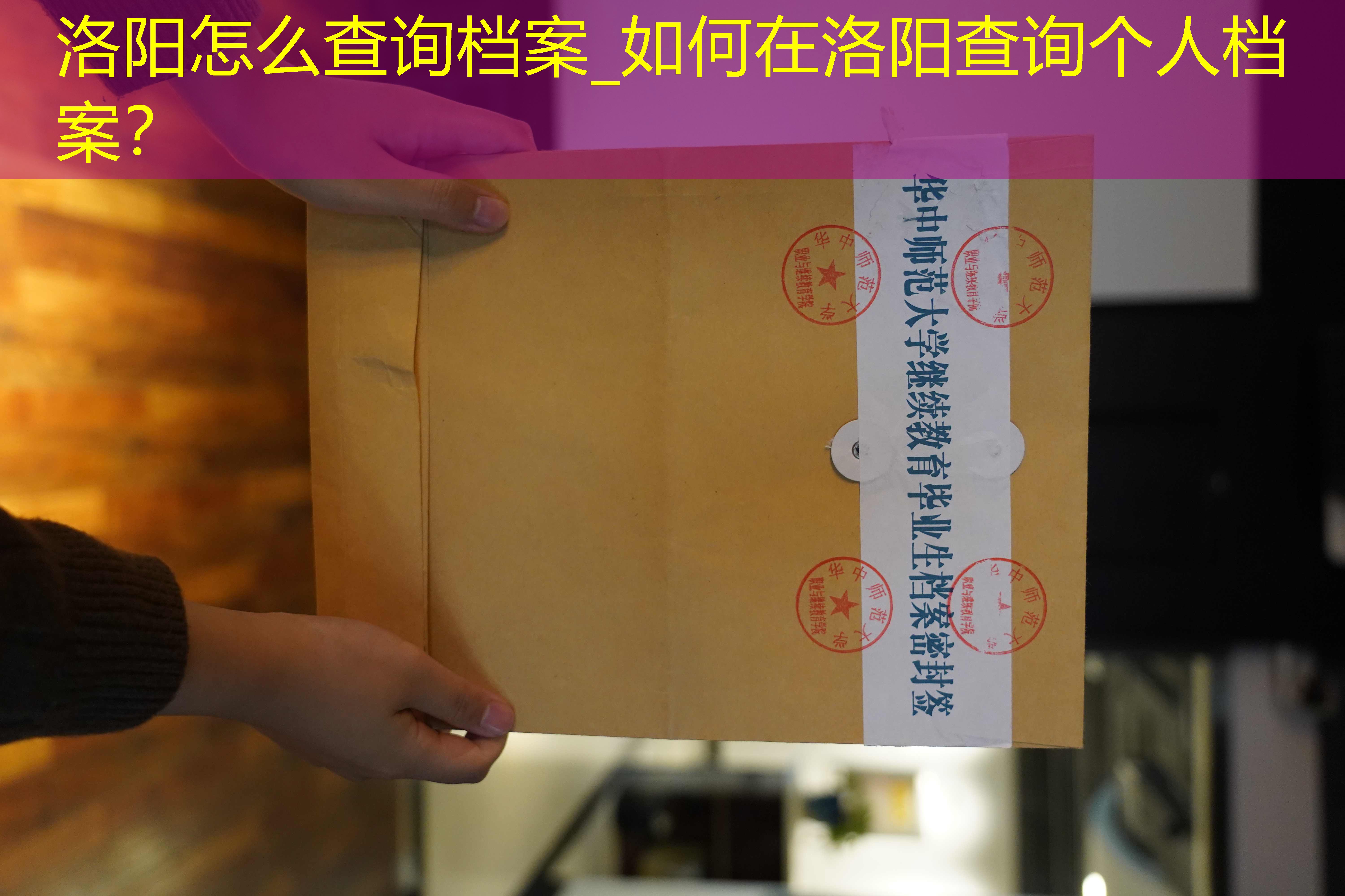 档案查询