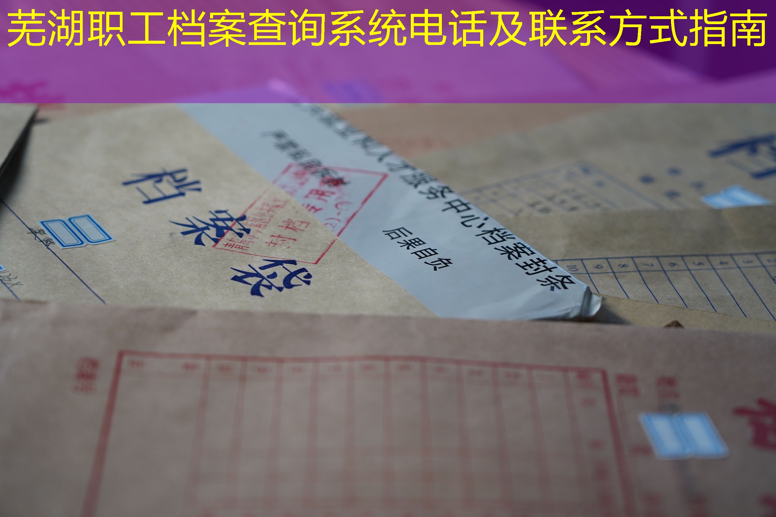 档案查询