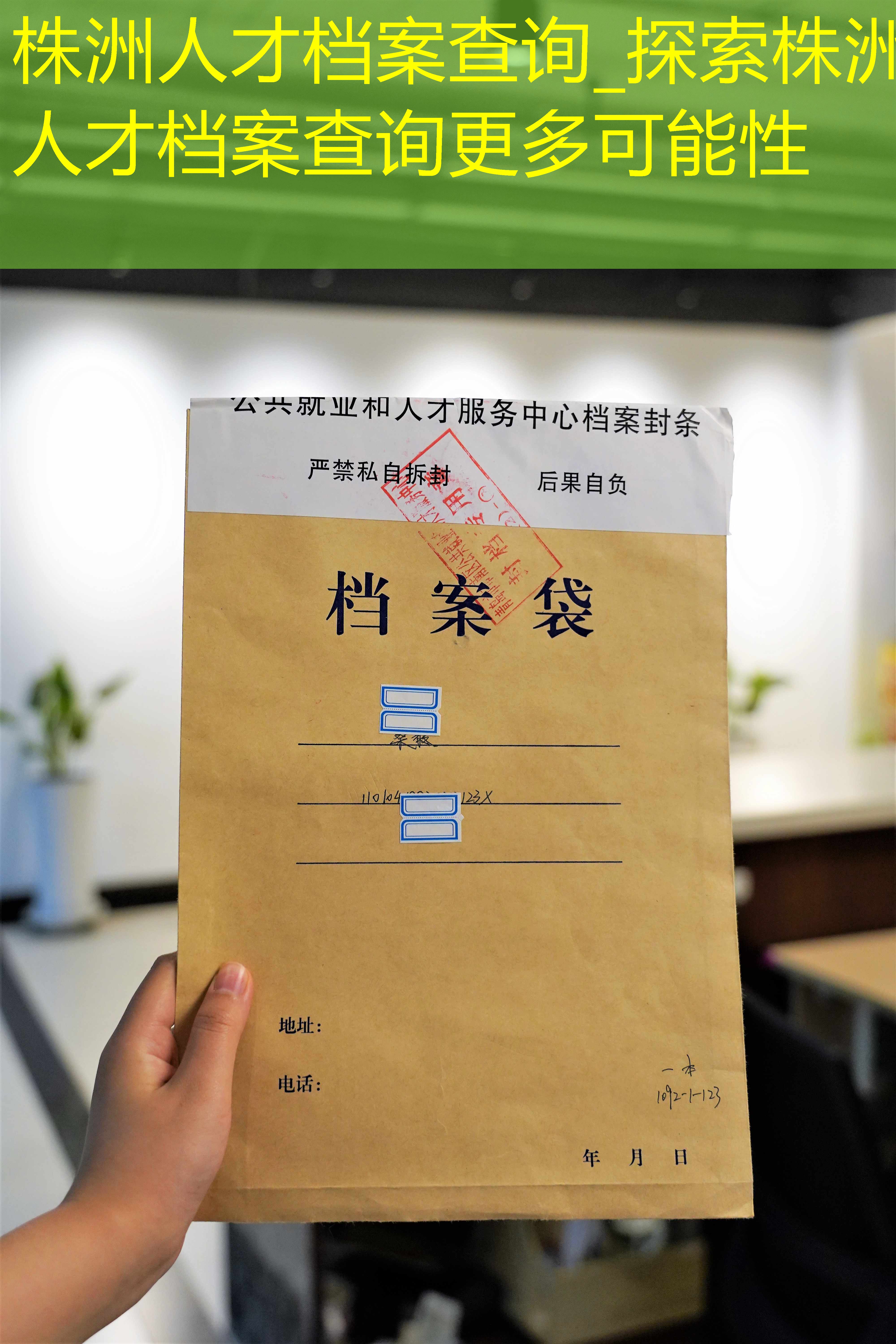档案查询