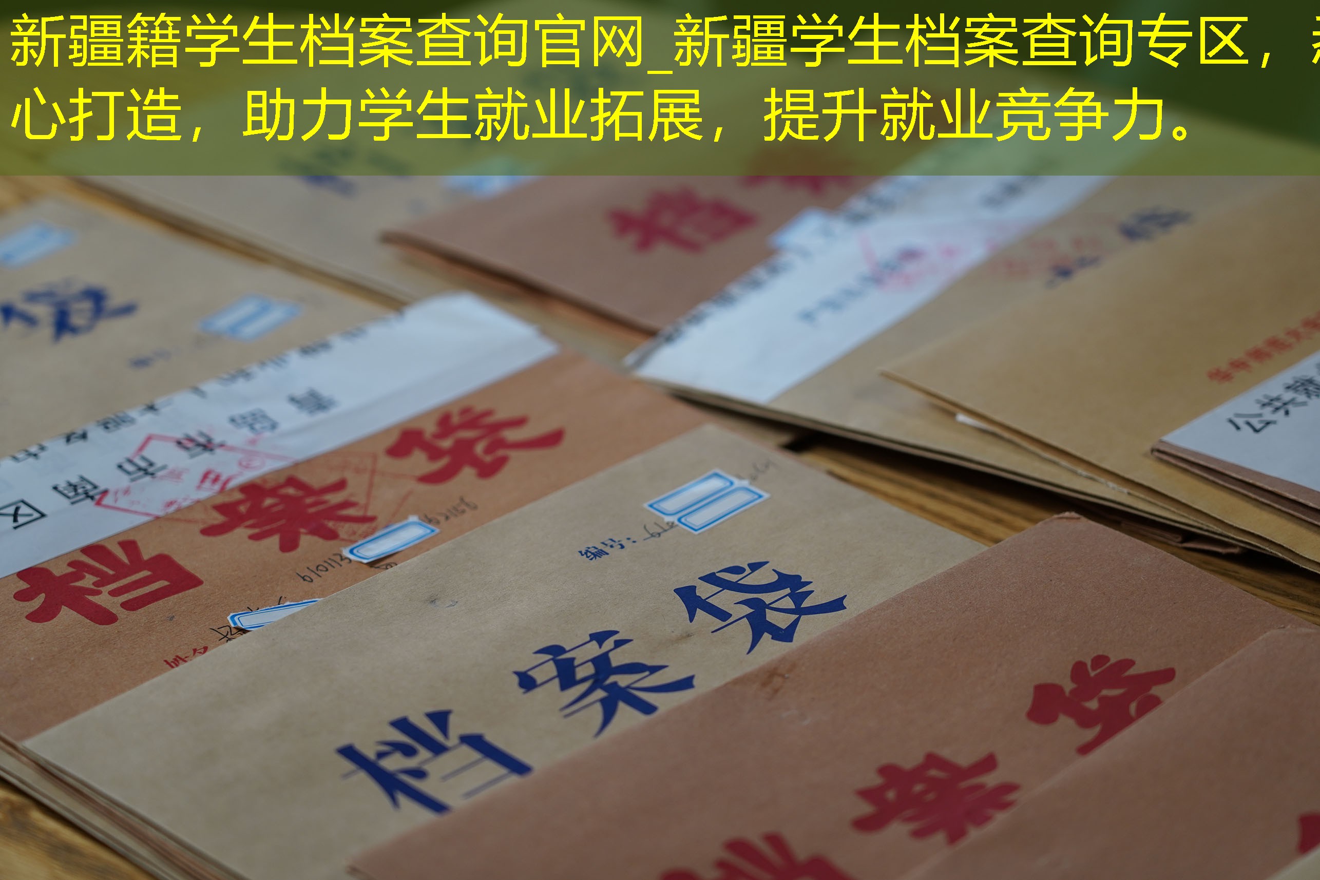 档案查询