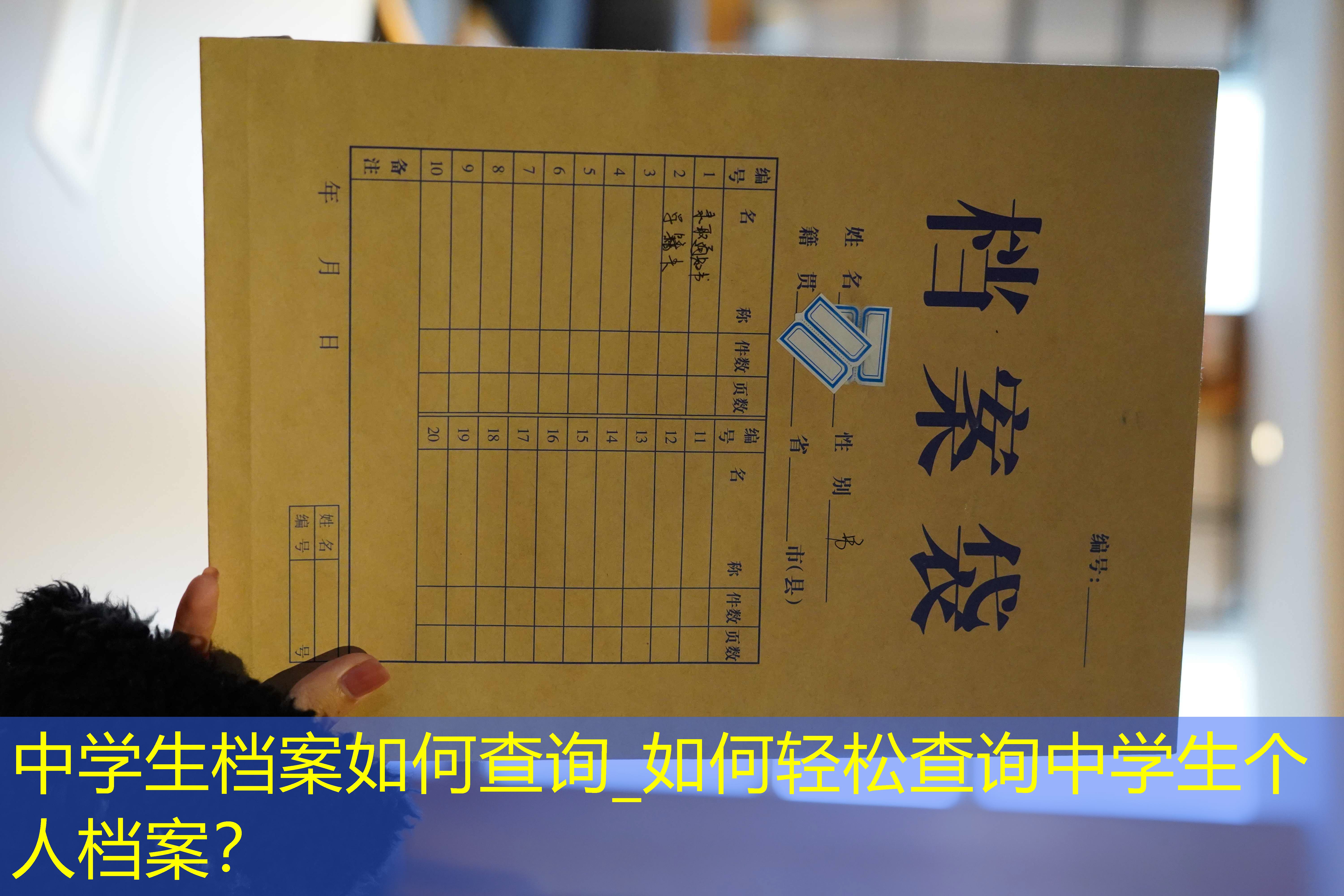 档案查询