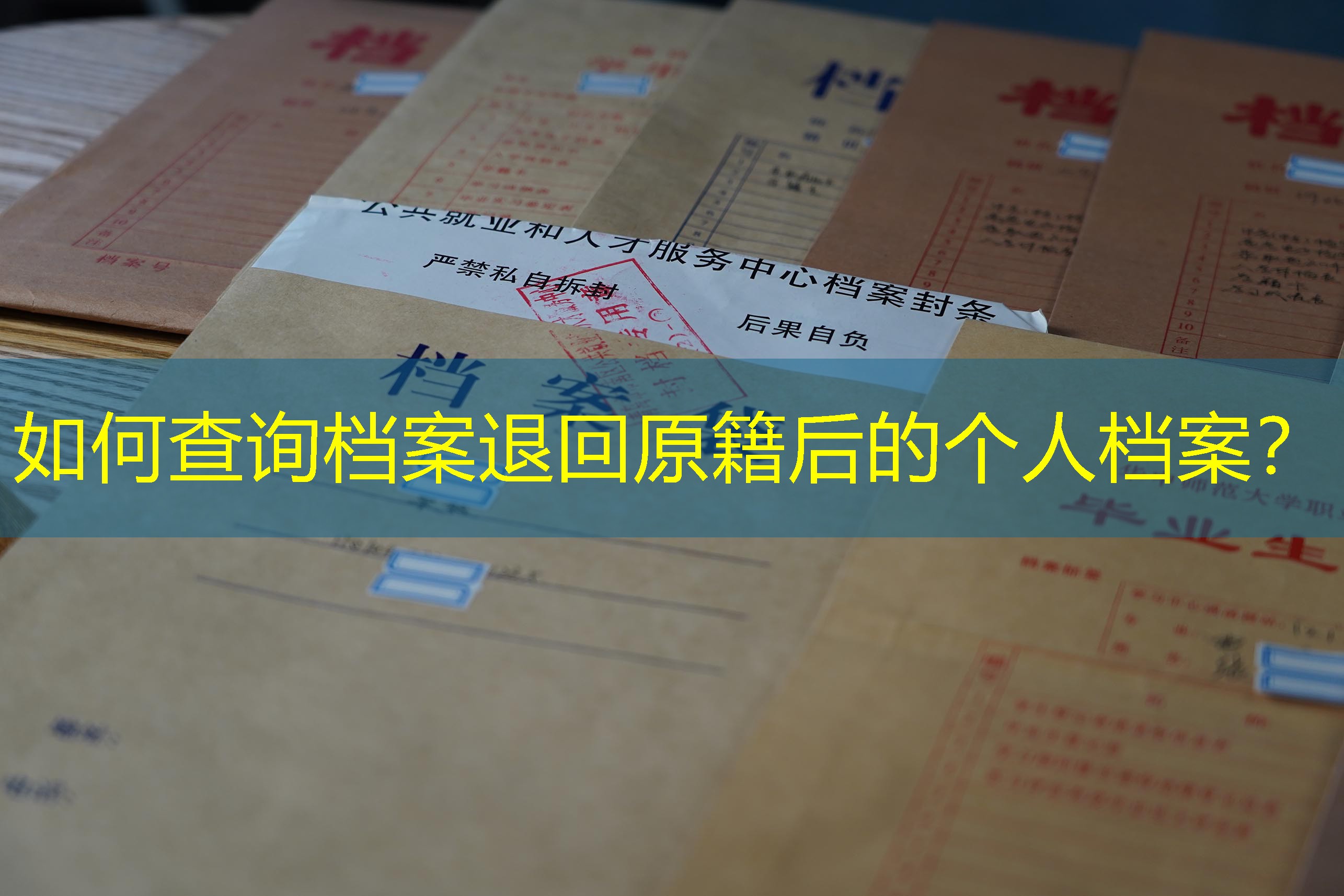 档案查询