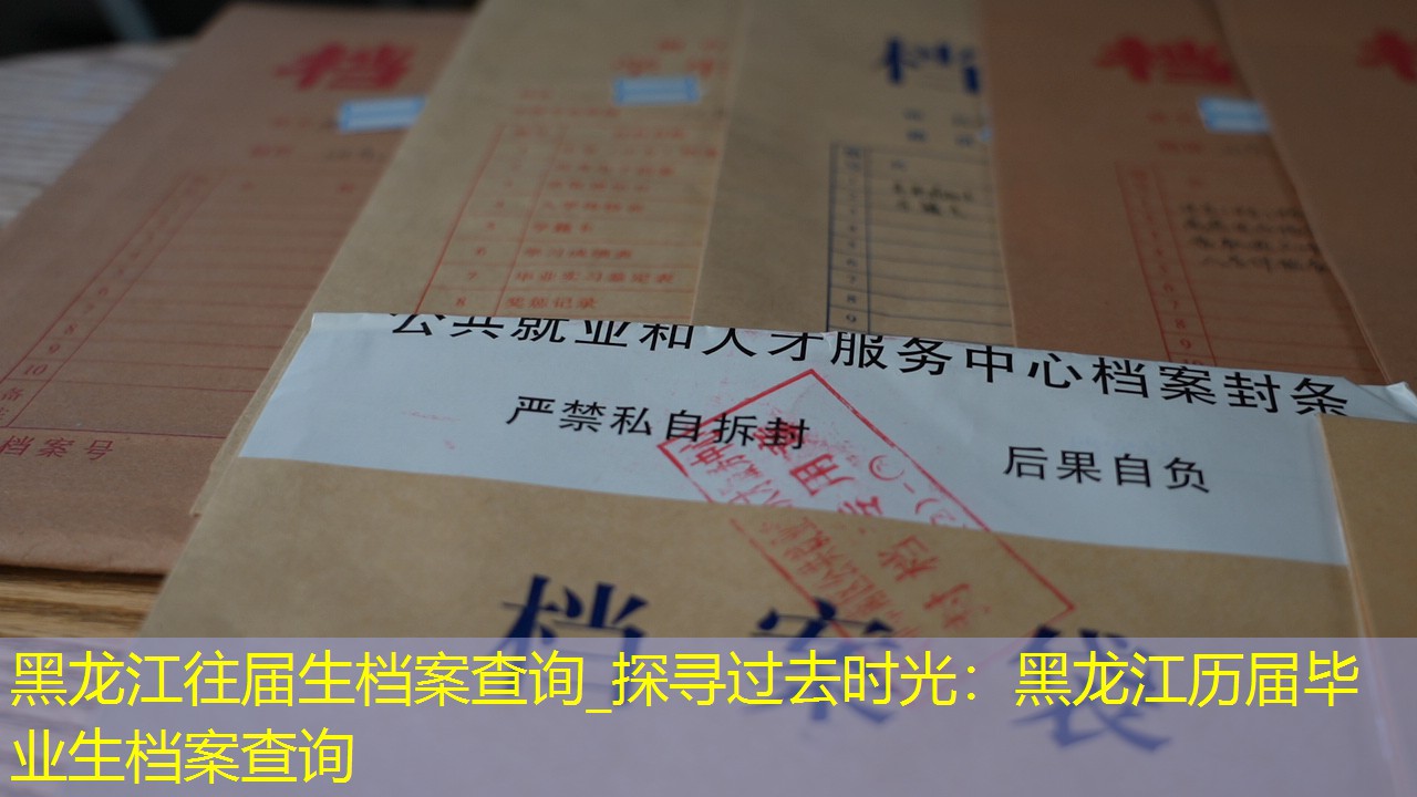 档案查询