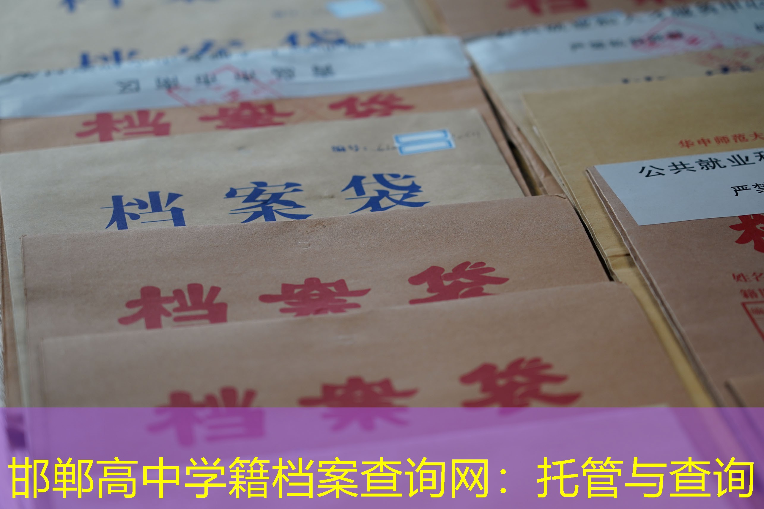 档案查询