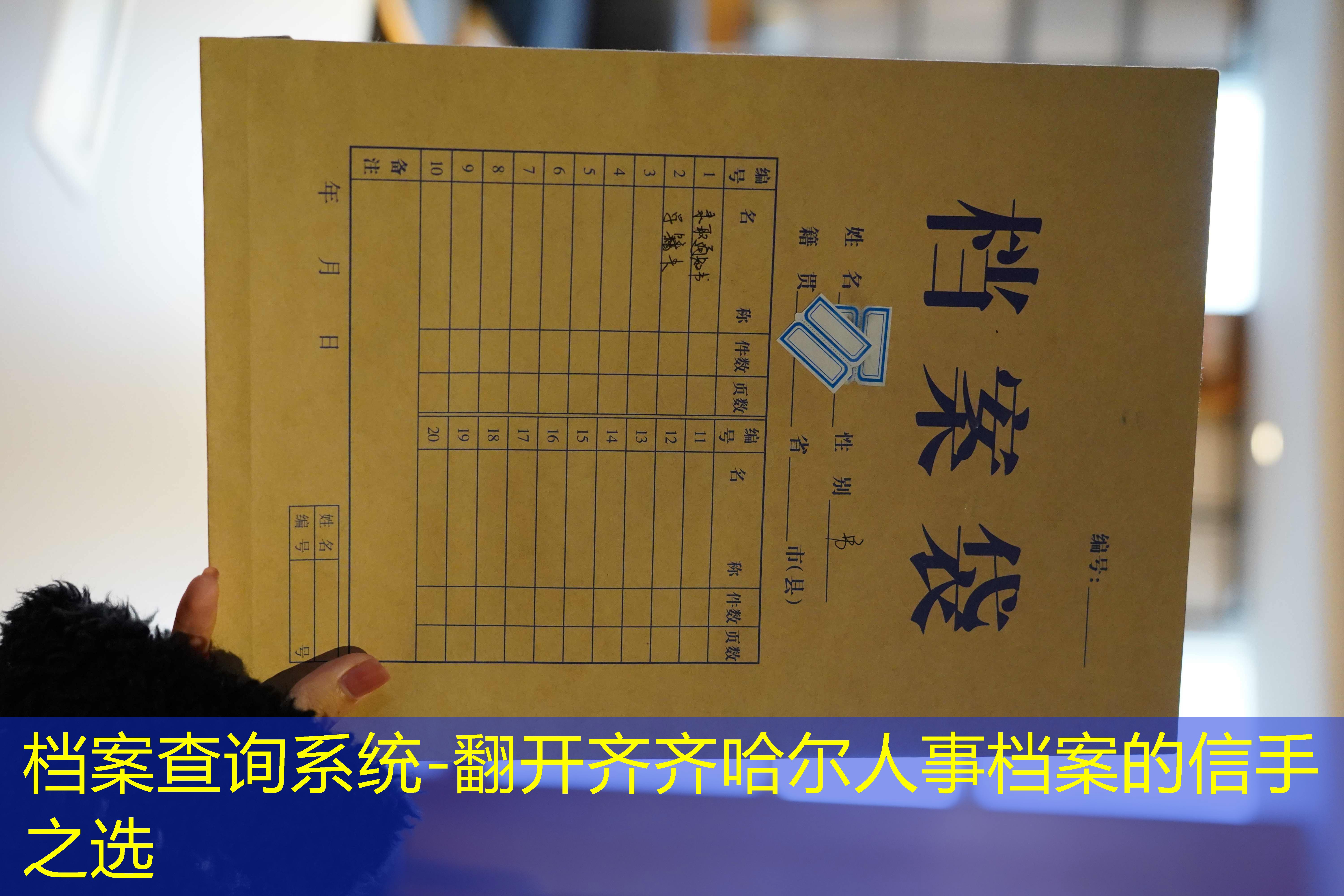 档案查询