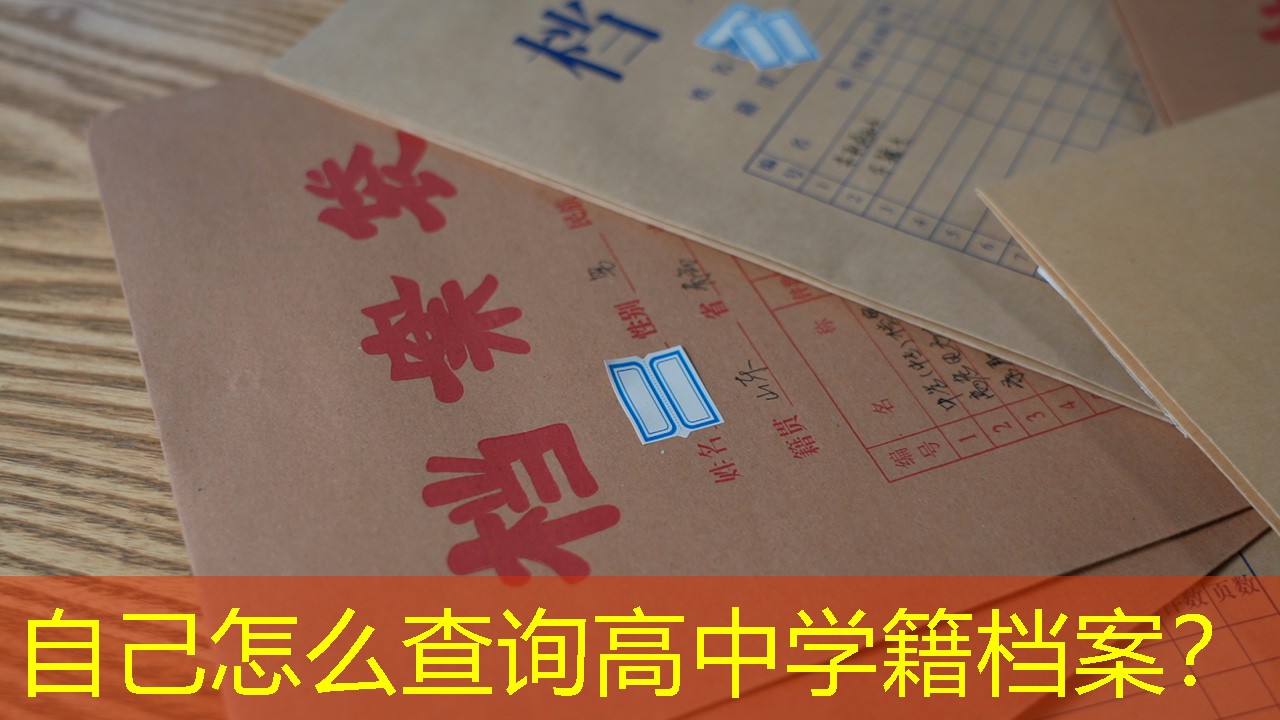档案查询