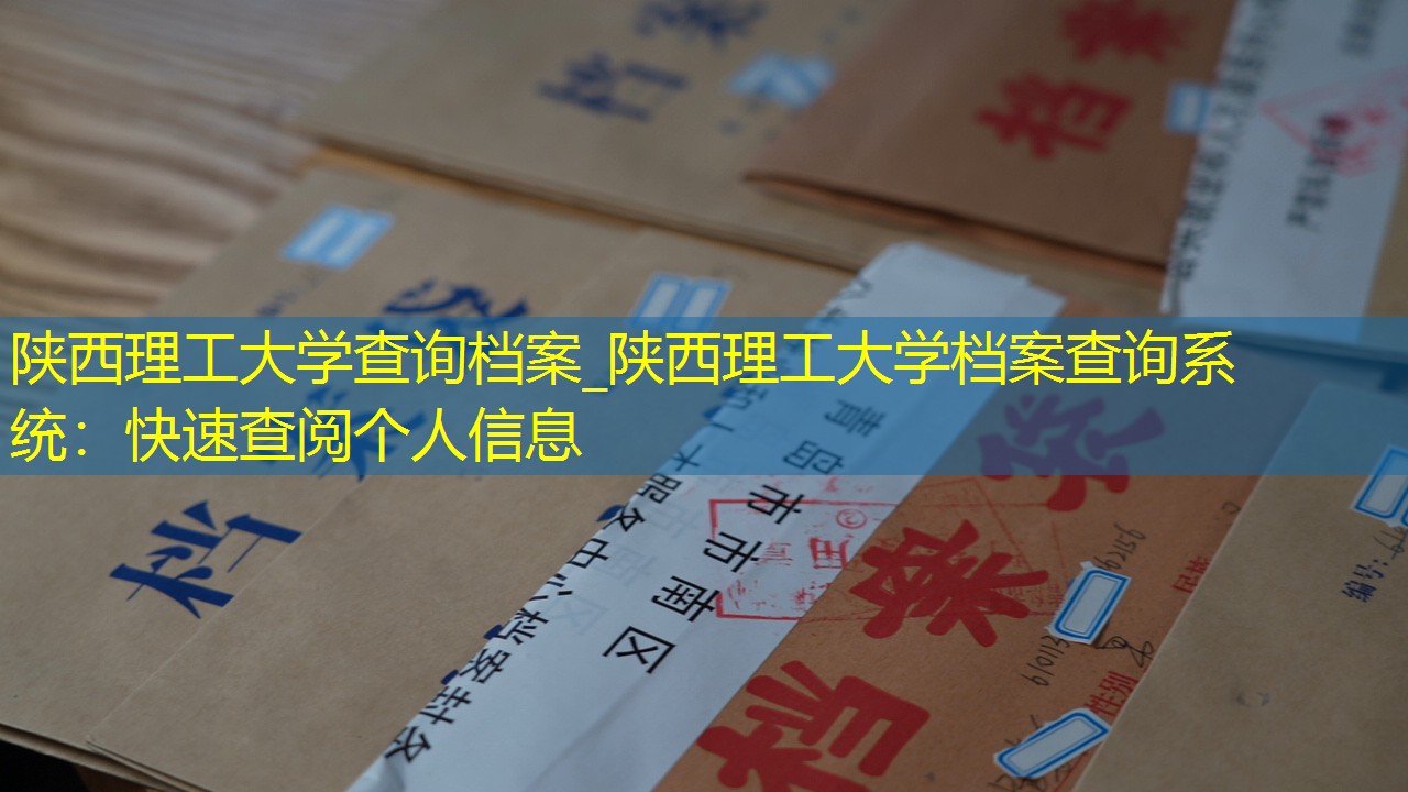 档案查询