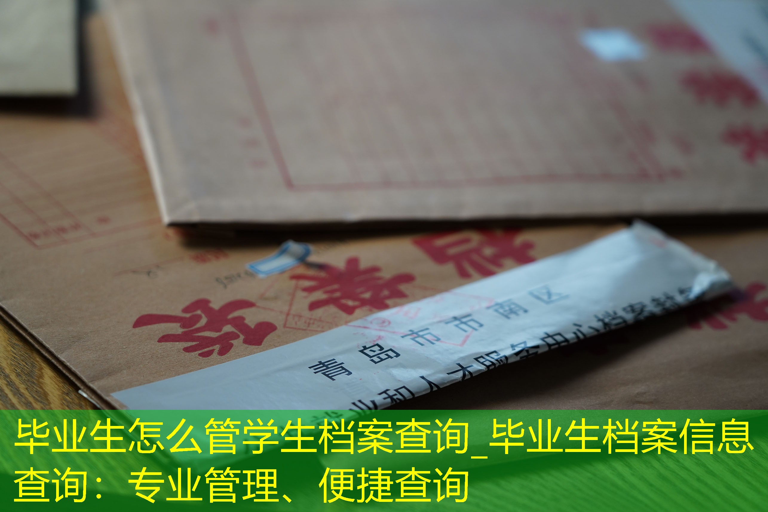 档案查询