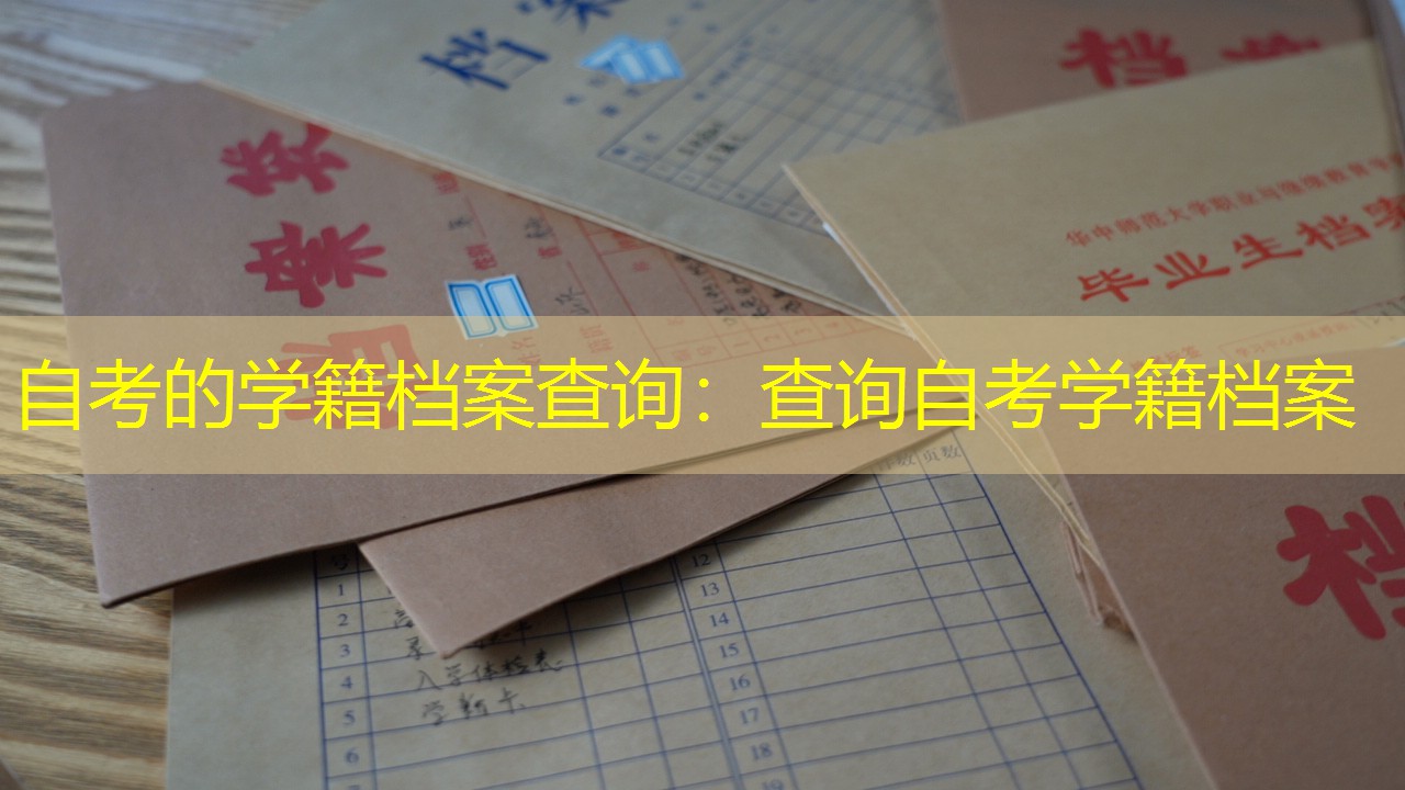 档案查询