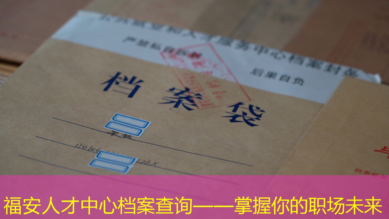 档案查询