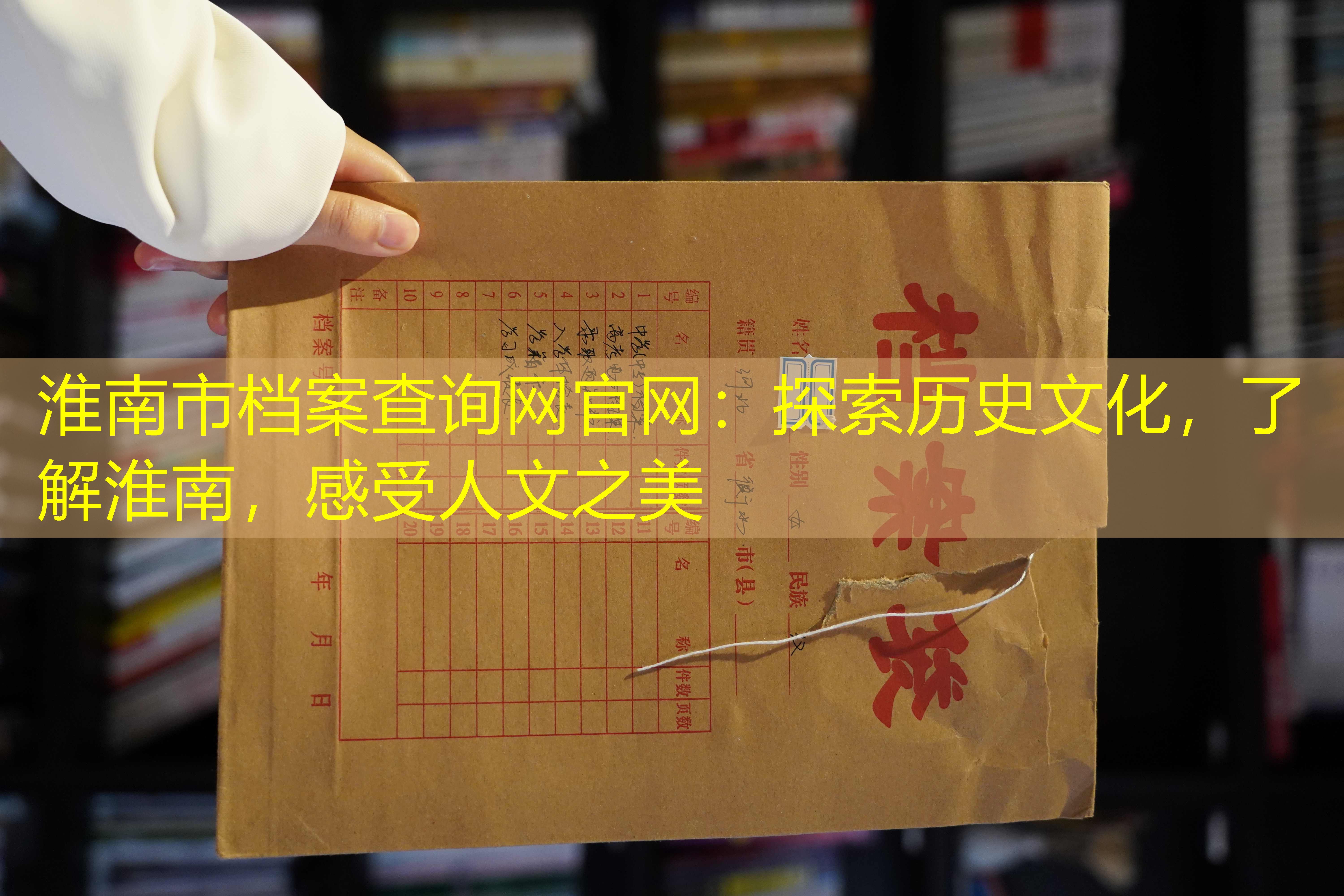 档案查询