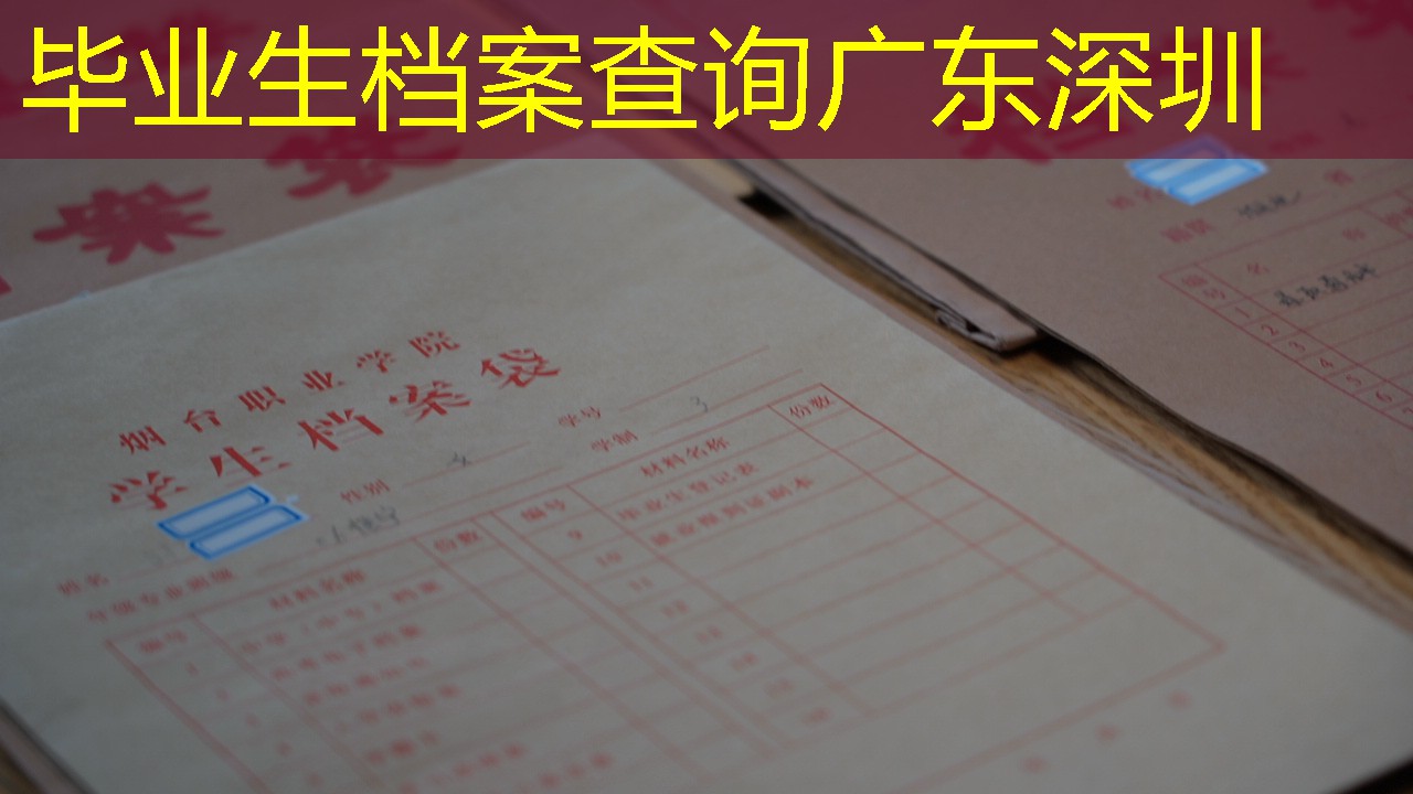 档案查询