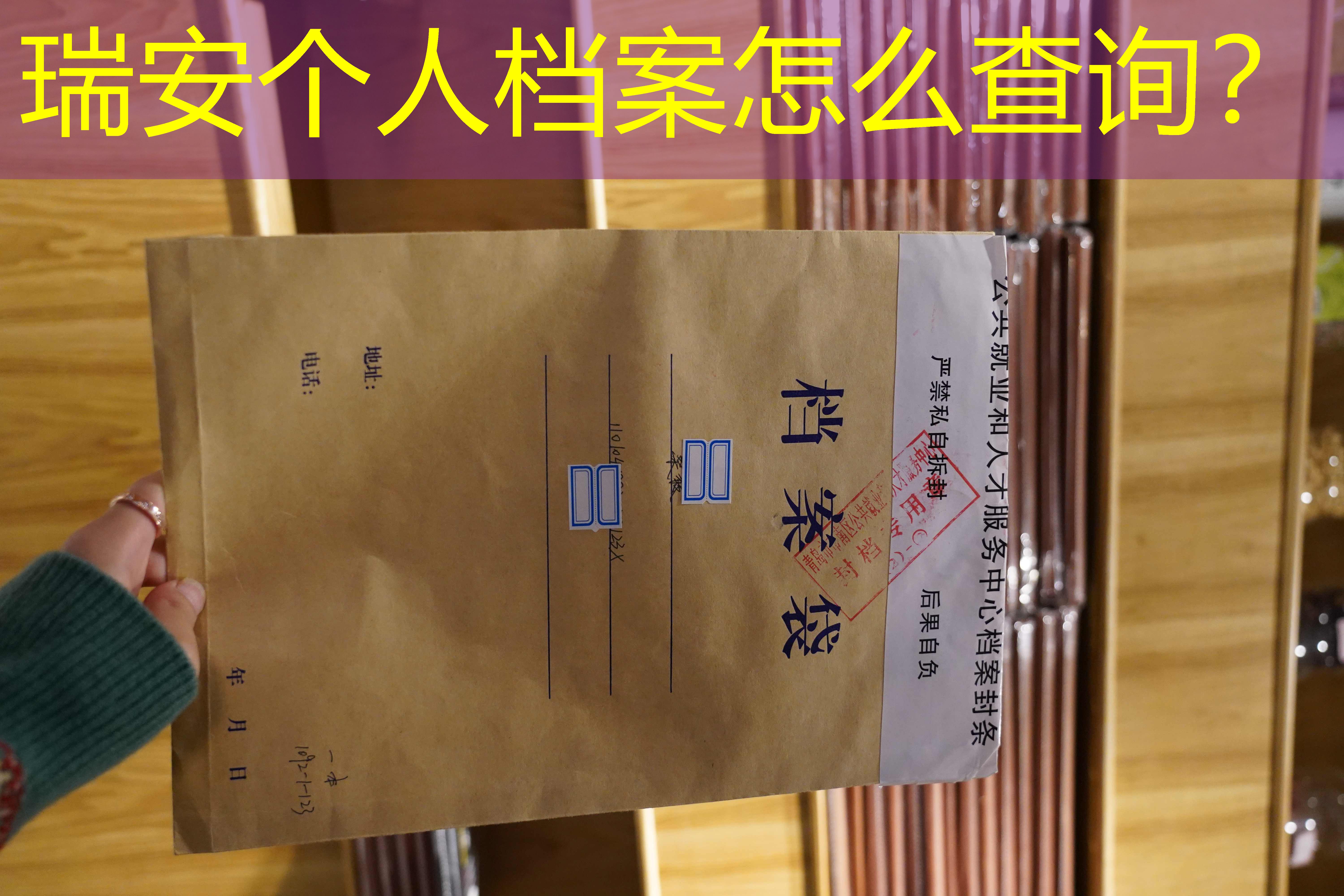 档案查询
